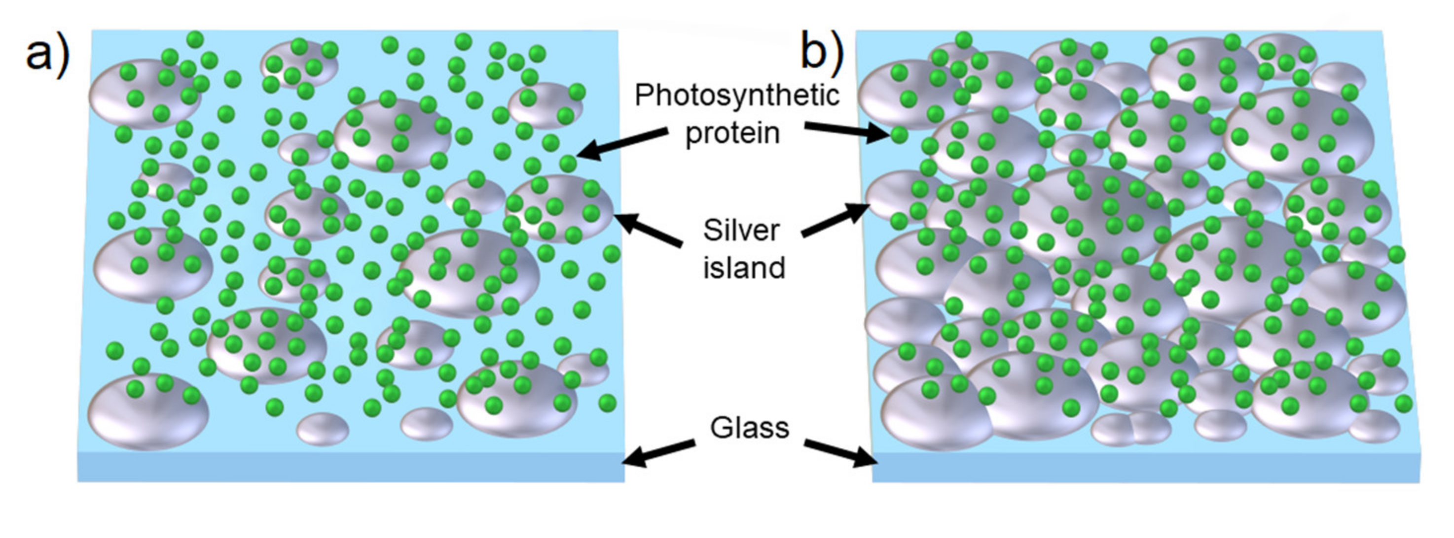 Ijms 21 02451 g008 Ijms 21 02451 g008