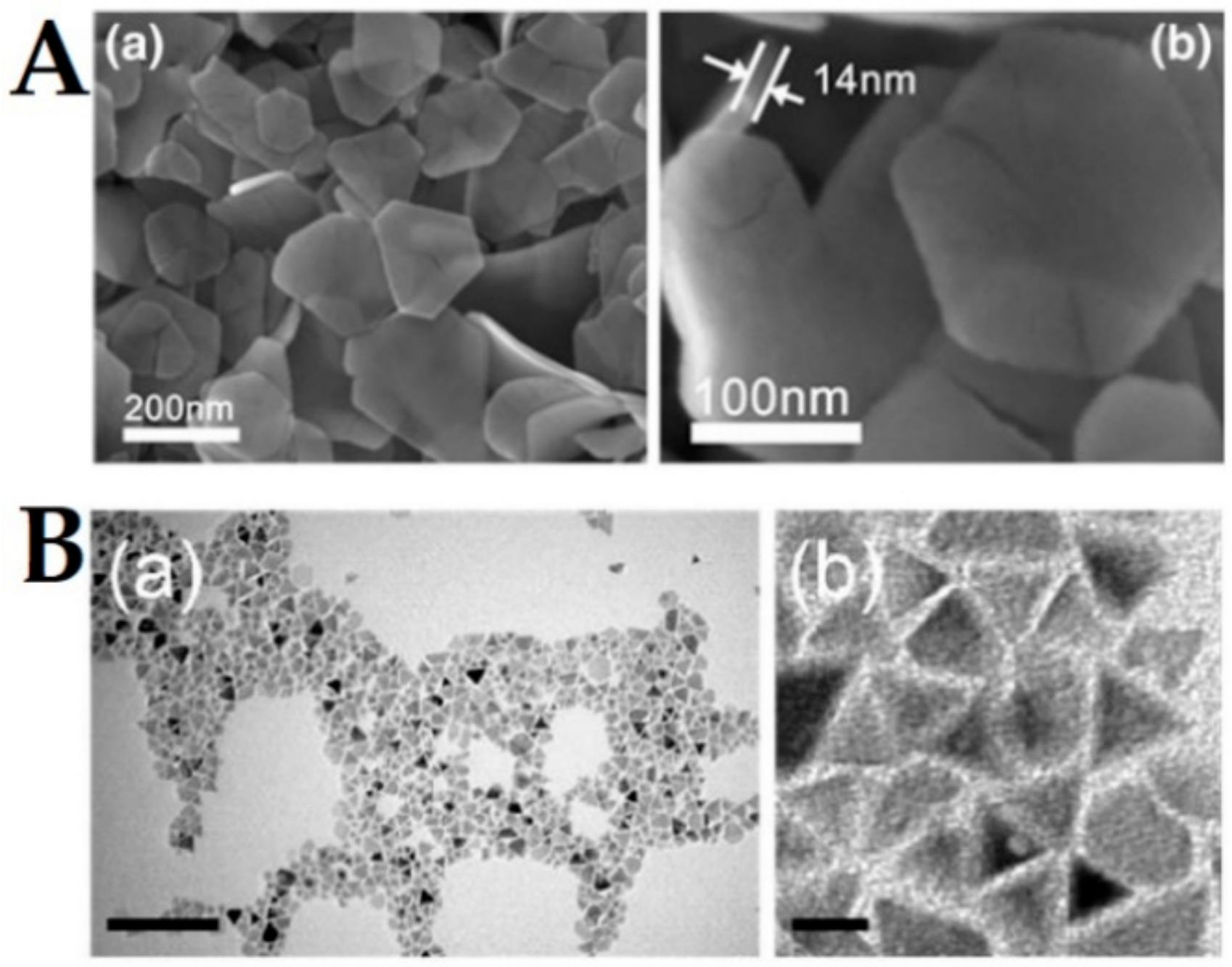 Ijms 21 02455 g003 Ijms 21 02455 g003