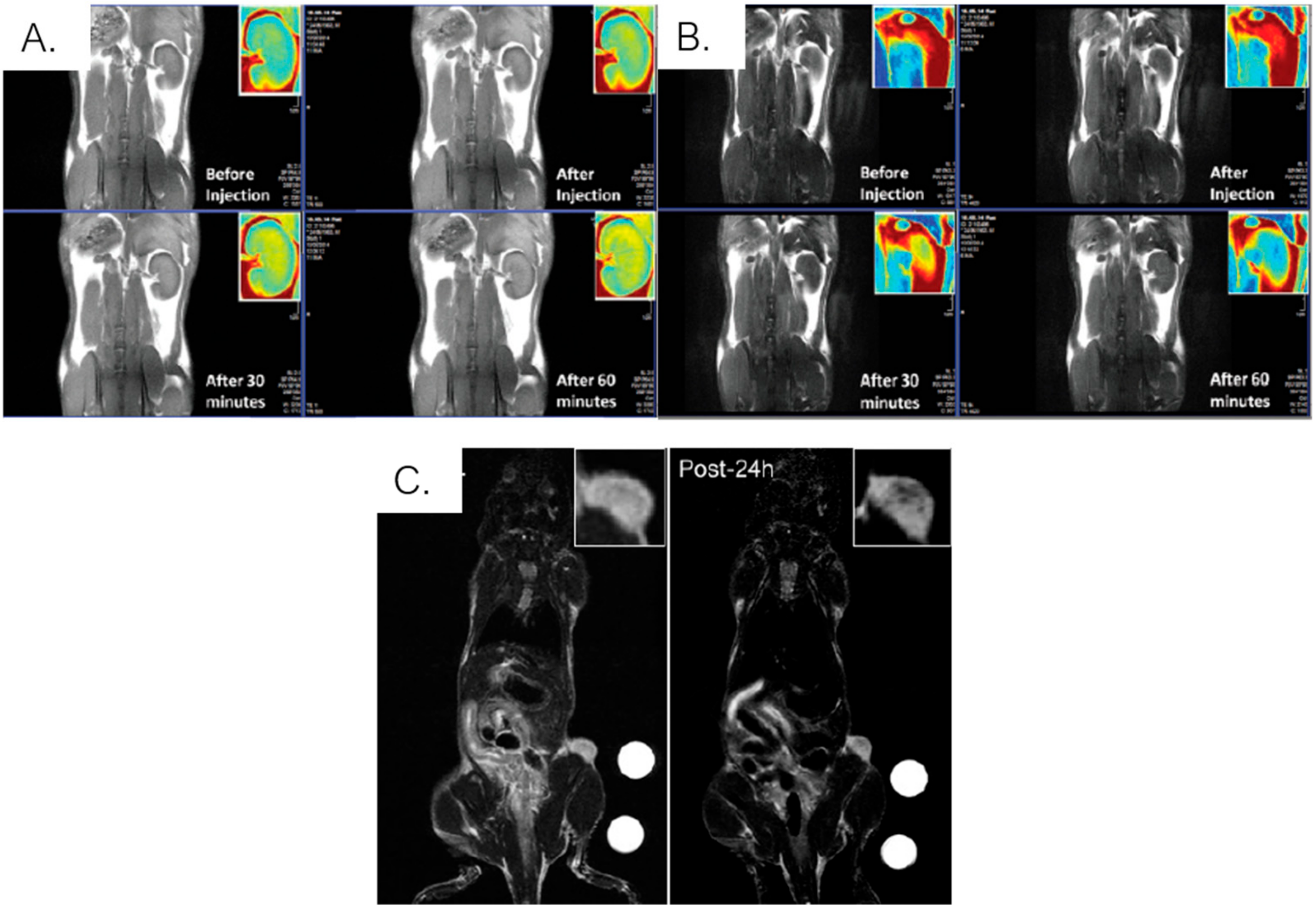 Ijms 21 02455 g011 Ijms 21 02455 g011