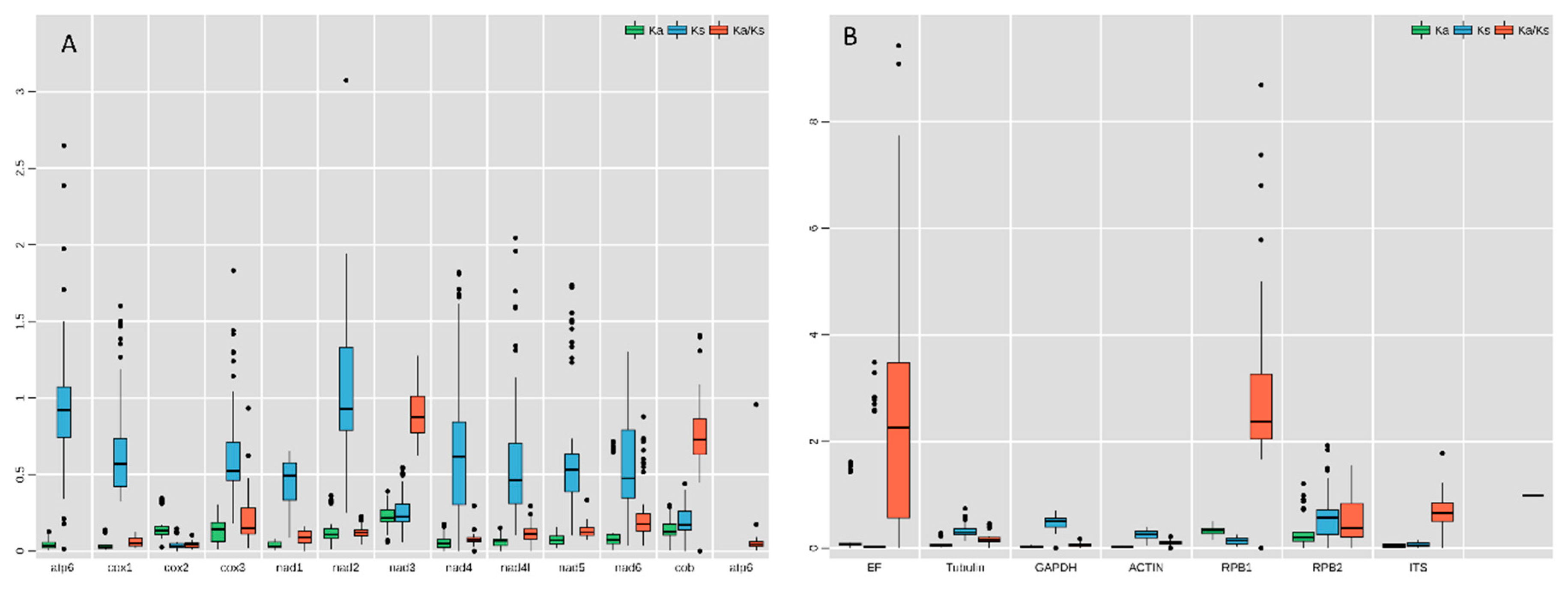 Ijms 21 02461 g005 Ijms 21 02461 g005
