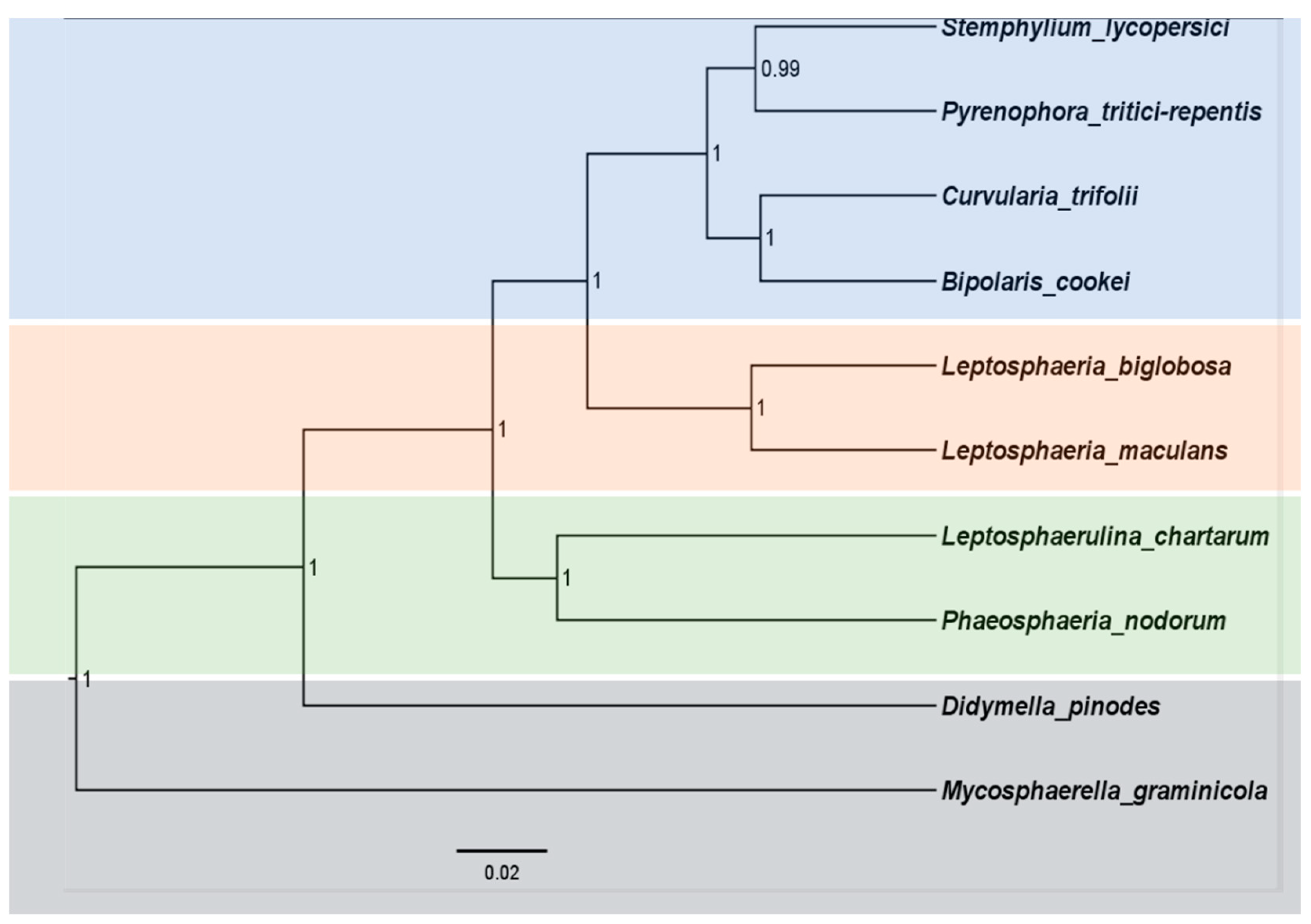 Ijms 21 02461 g006 Ijms 21 02461 g006