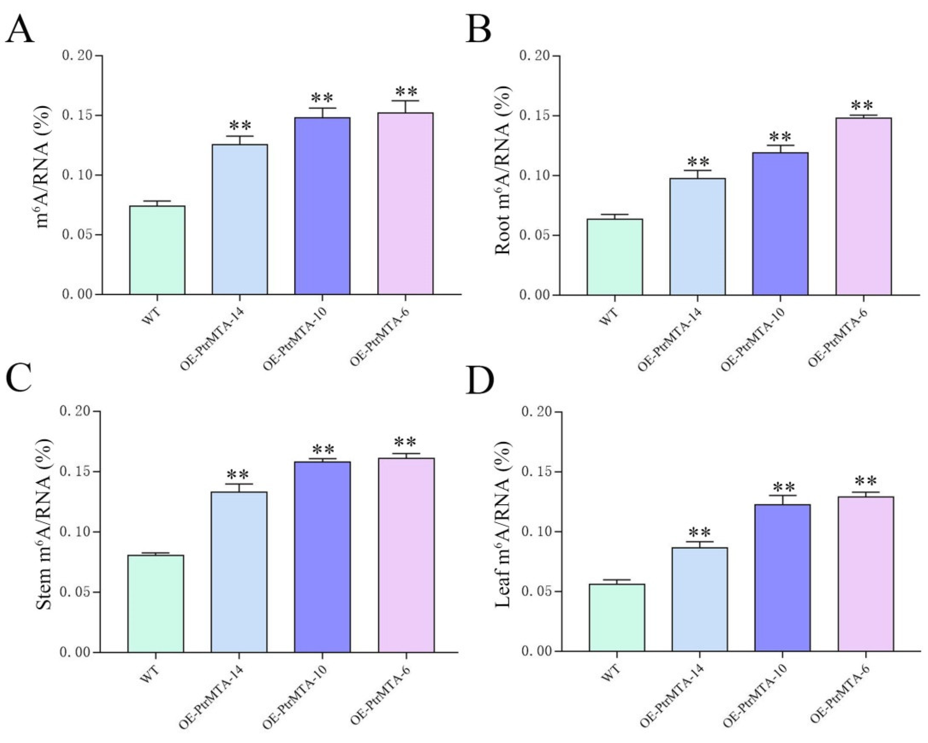Ijms 21 02462 g006 Ijms 21 02462 g006