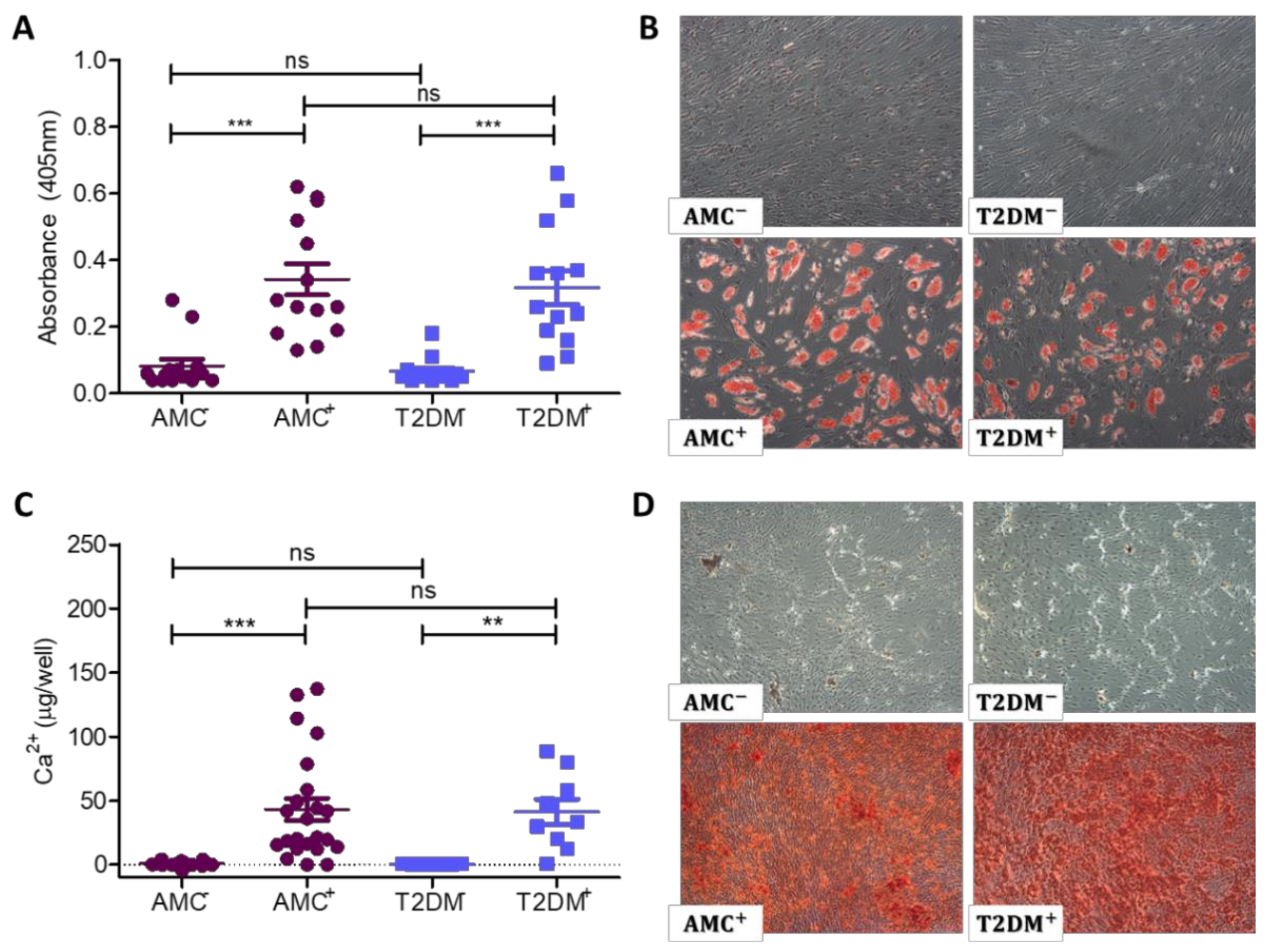 Ijms 21 02476 g003 Ijms 21 02476 g003