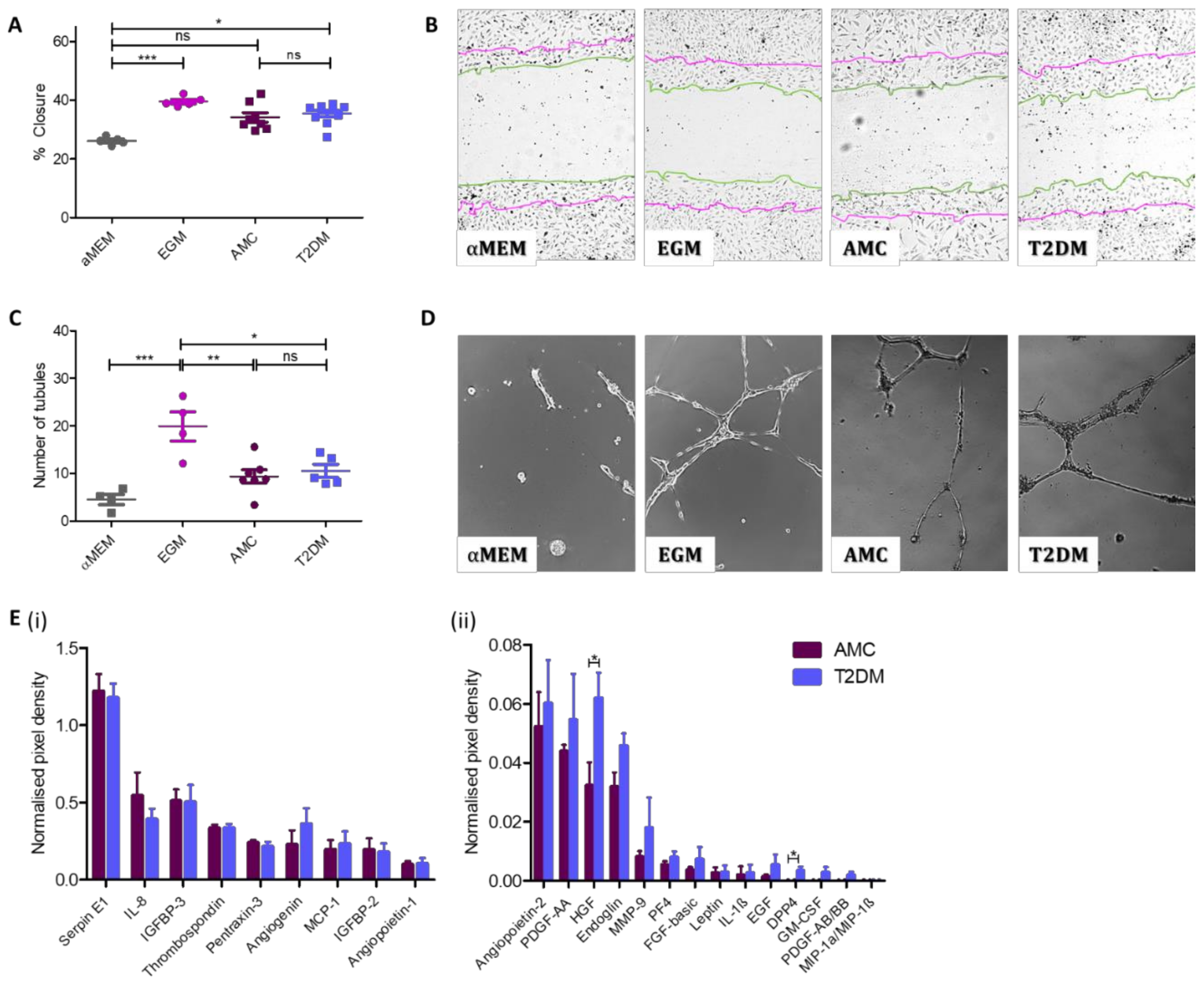 Ijms 21 02476 g004 Ijms 21 02476 g004