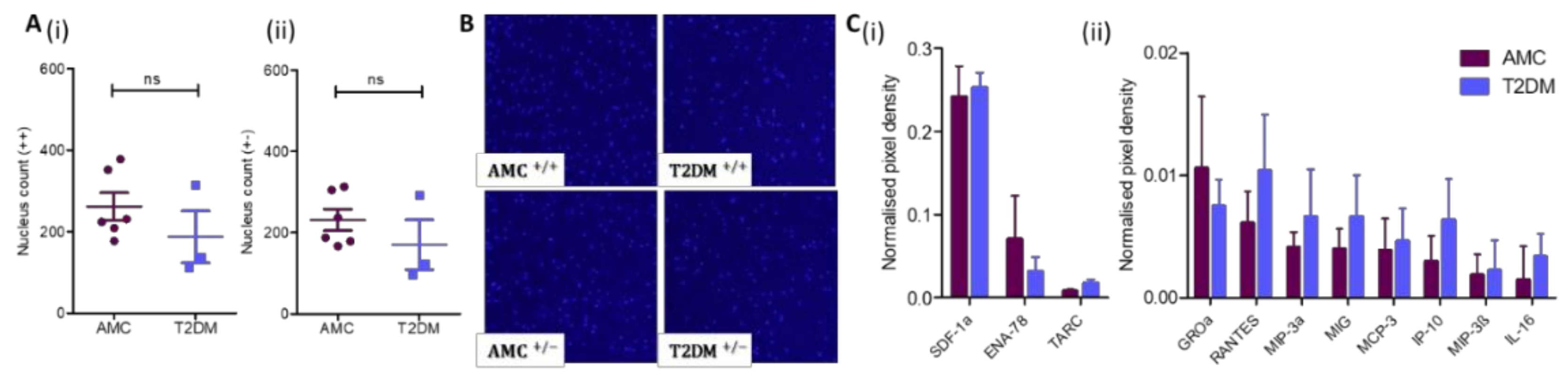 Ijms 21 02476 g005 Ijms 21 02476 g005