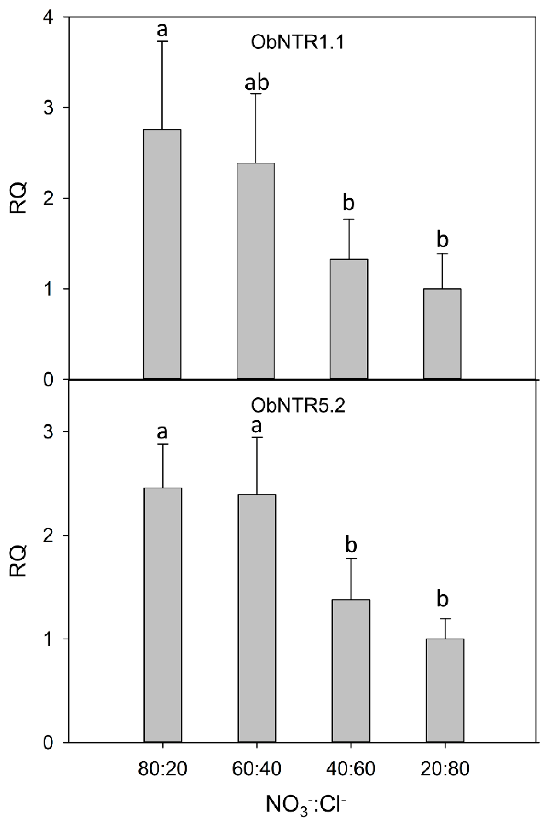 Ijms 21 02482 g001 Ijms 21 02482 g001