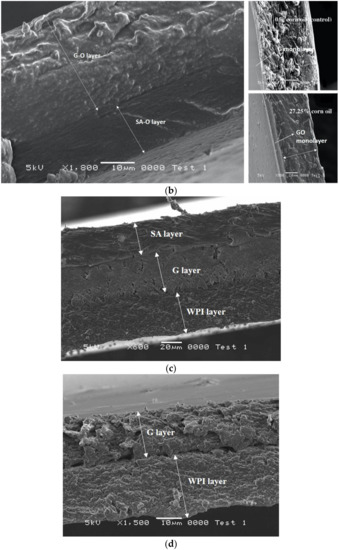 Ijms Free Full Text Development And Assessment Of Duplex And Triplex Laminated Edible Films Using Whey Protein Isolate Gelatin And Sodium Alginate Html Ijms Free Full Text Development And Assessment Of Duplex And Triplex Laminated Edible Films Using Whey Protein Isolate Gelatin And Sodium Alginate Html