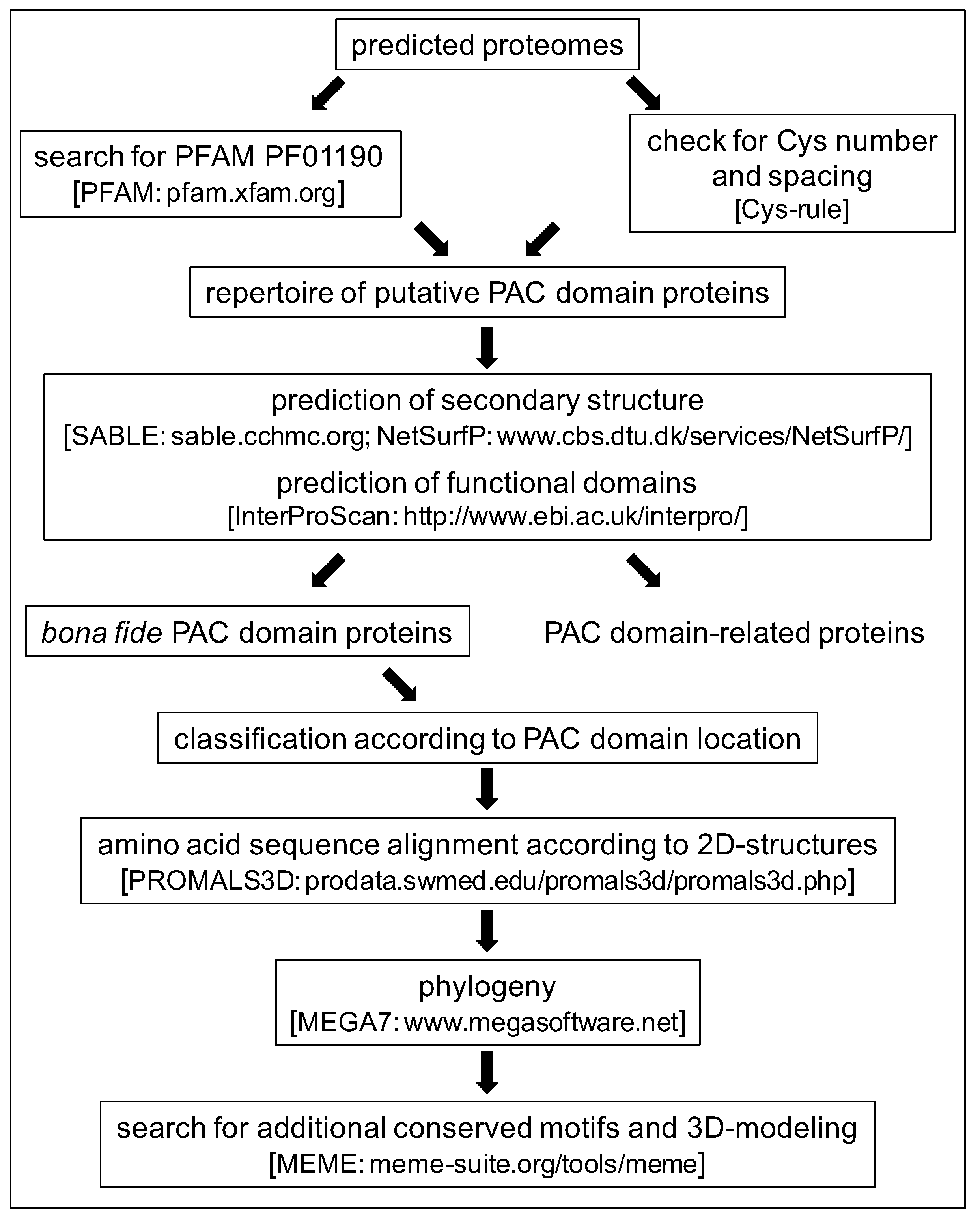 Ijms Free Full Text The Cell Wall Pac Proline Rich Arabinogalactan Proteins Conserved Cysteines Domain Proteins Are Conserved In The Green Lineage Html