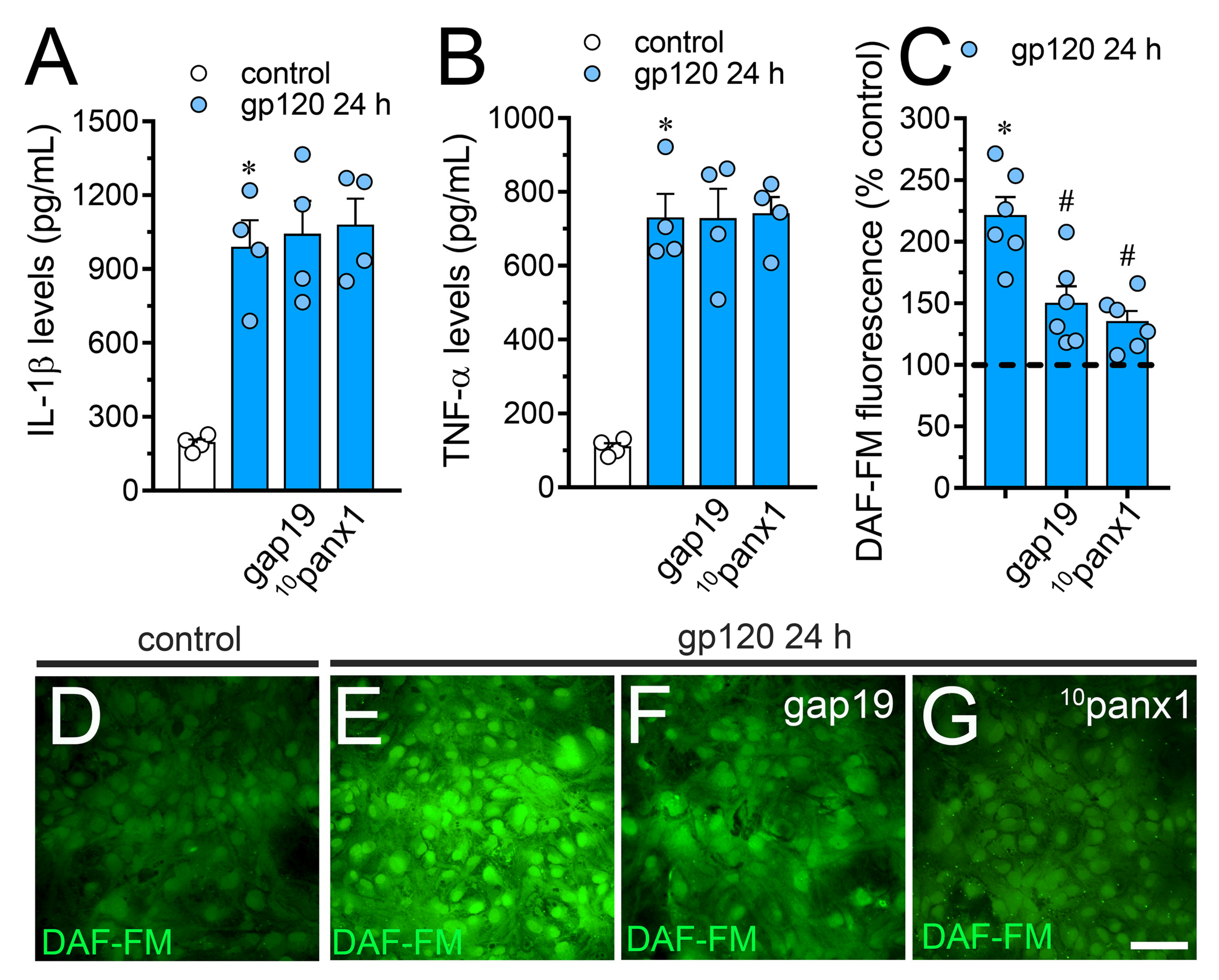 Ijms 21 02503 g005 Ijms 21 02503 g005