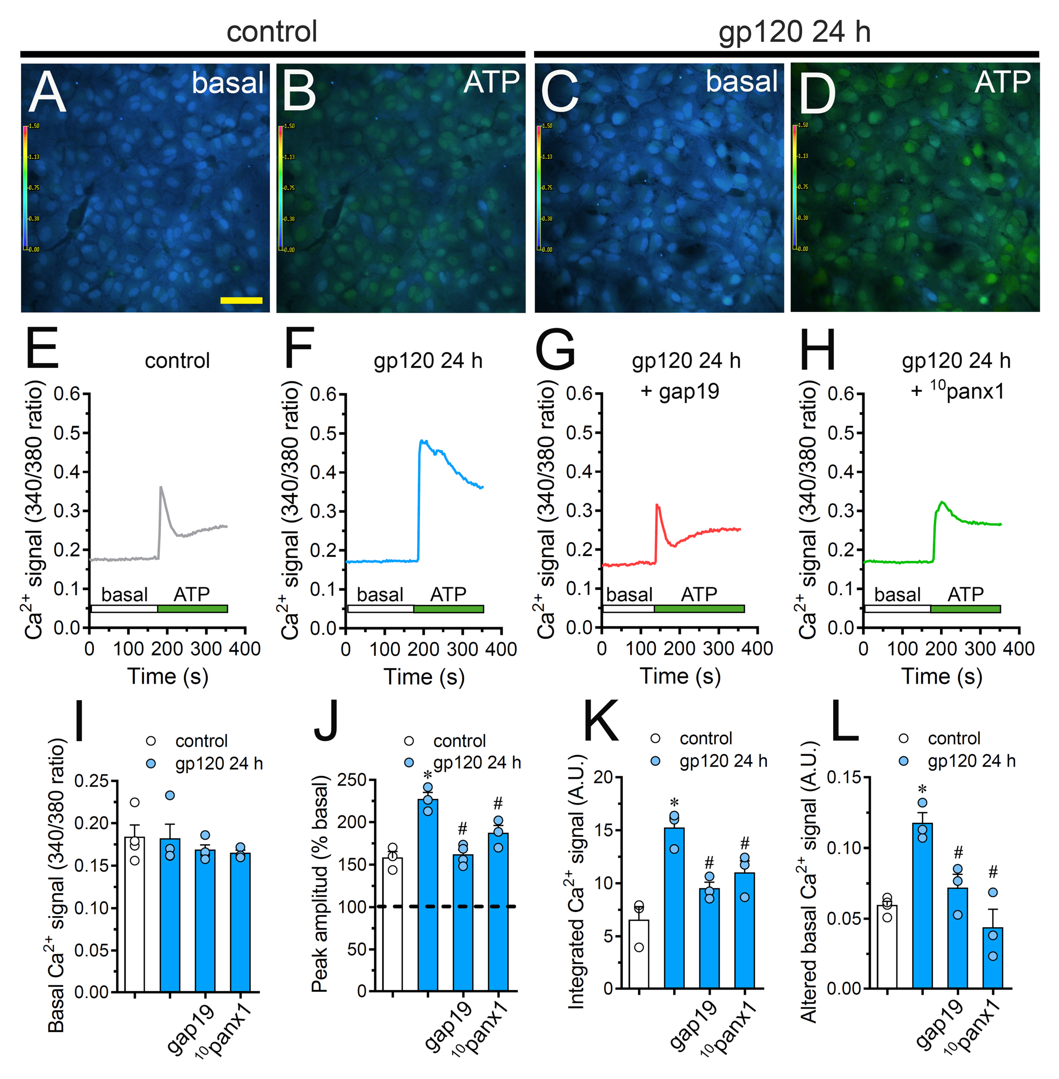 Ijms 21 02503 g006 Ijms 21 02503 g006