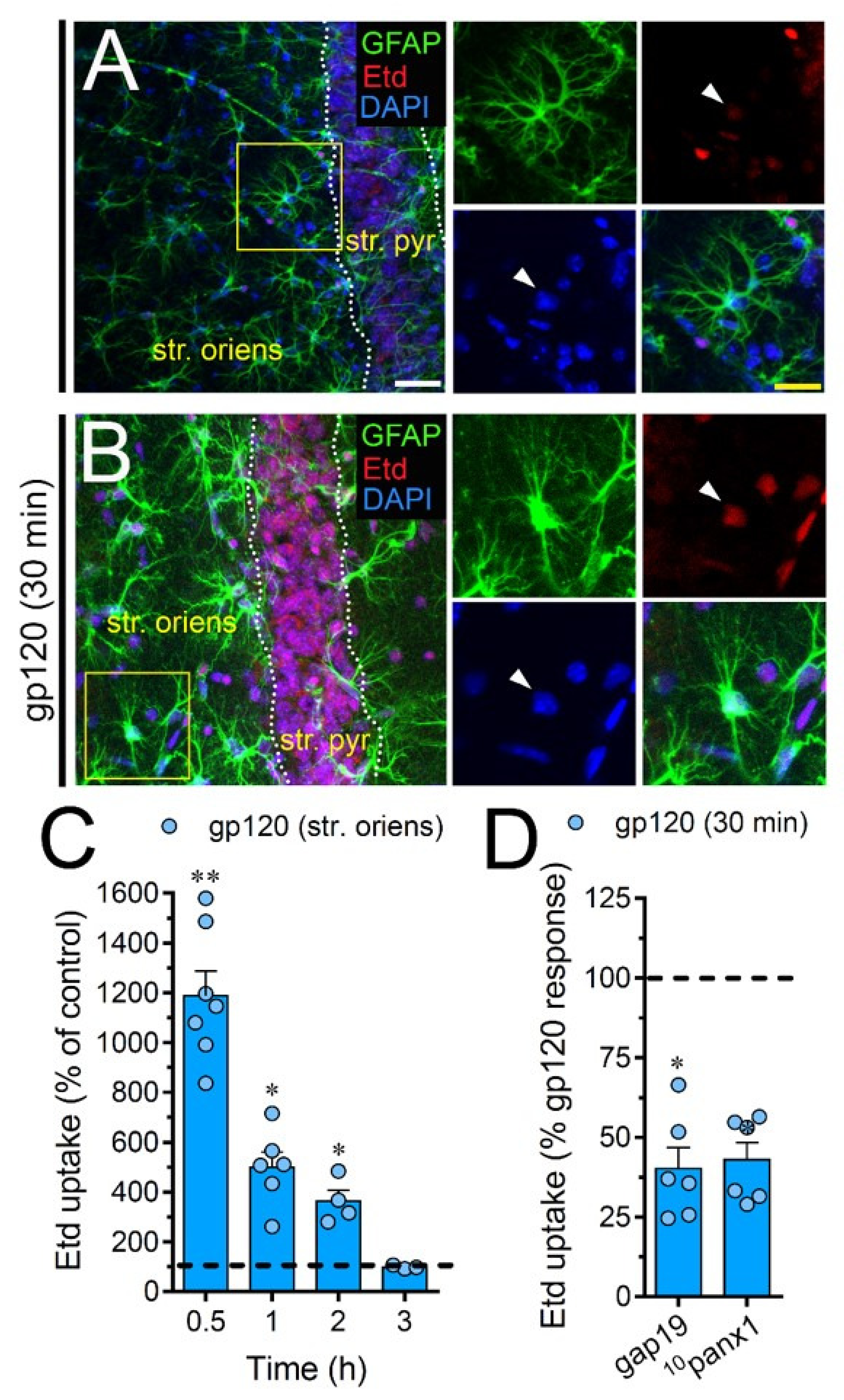 Ijms 21 02503 g007 Ijms 21 02503 g007