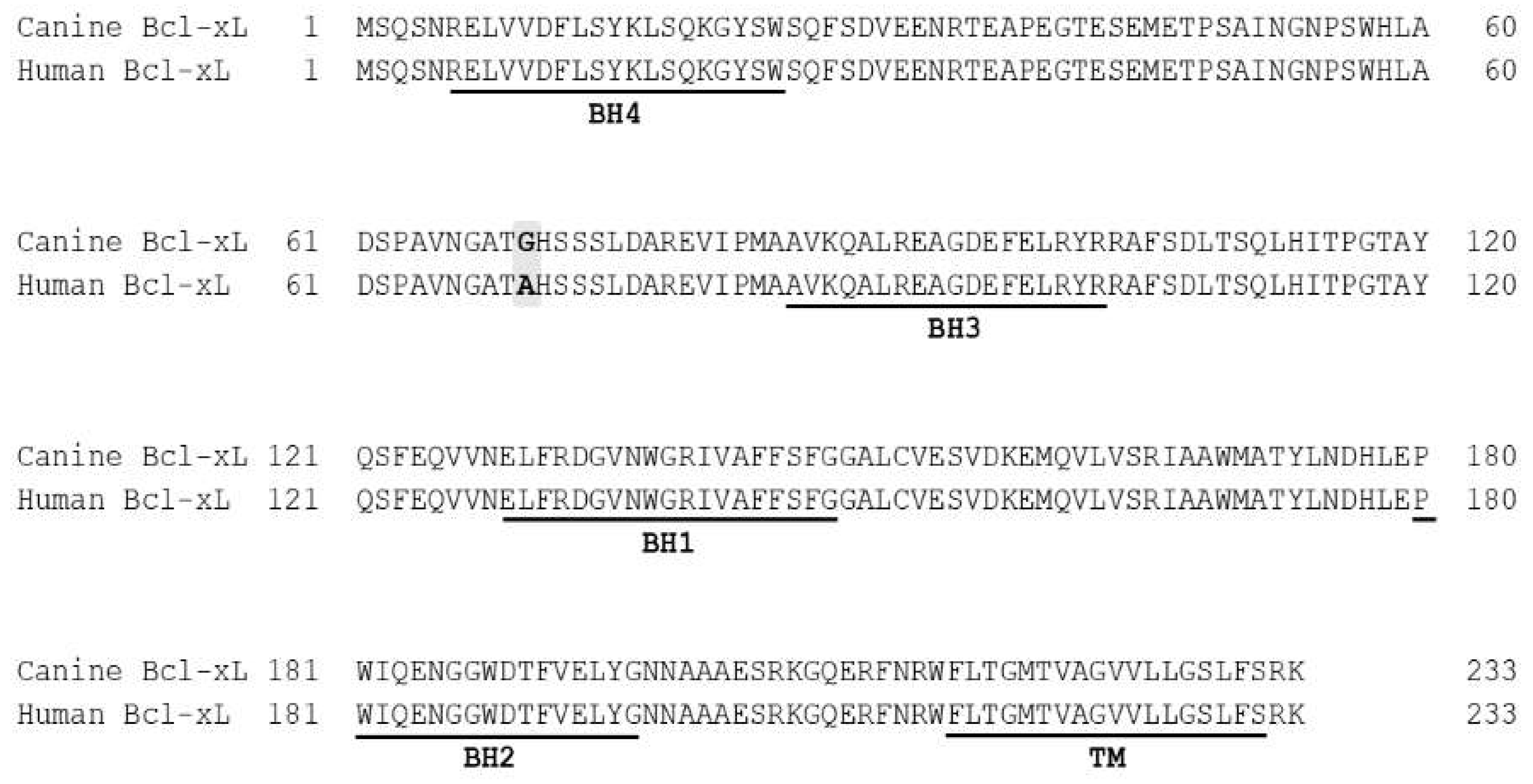 Ijms 21 02511 g001 Ijms 21 02511 g001