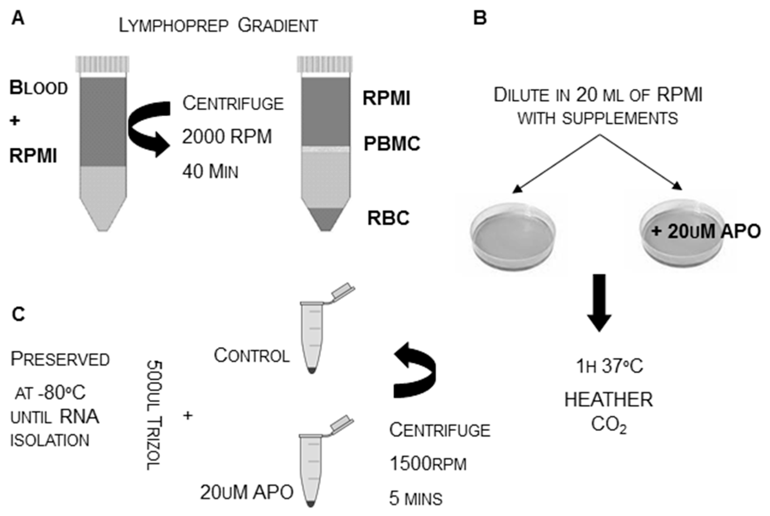 Ijms 21 02516 g001 Ijms 21 02516 g001