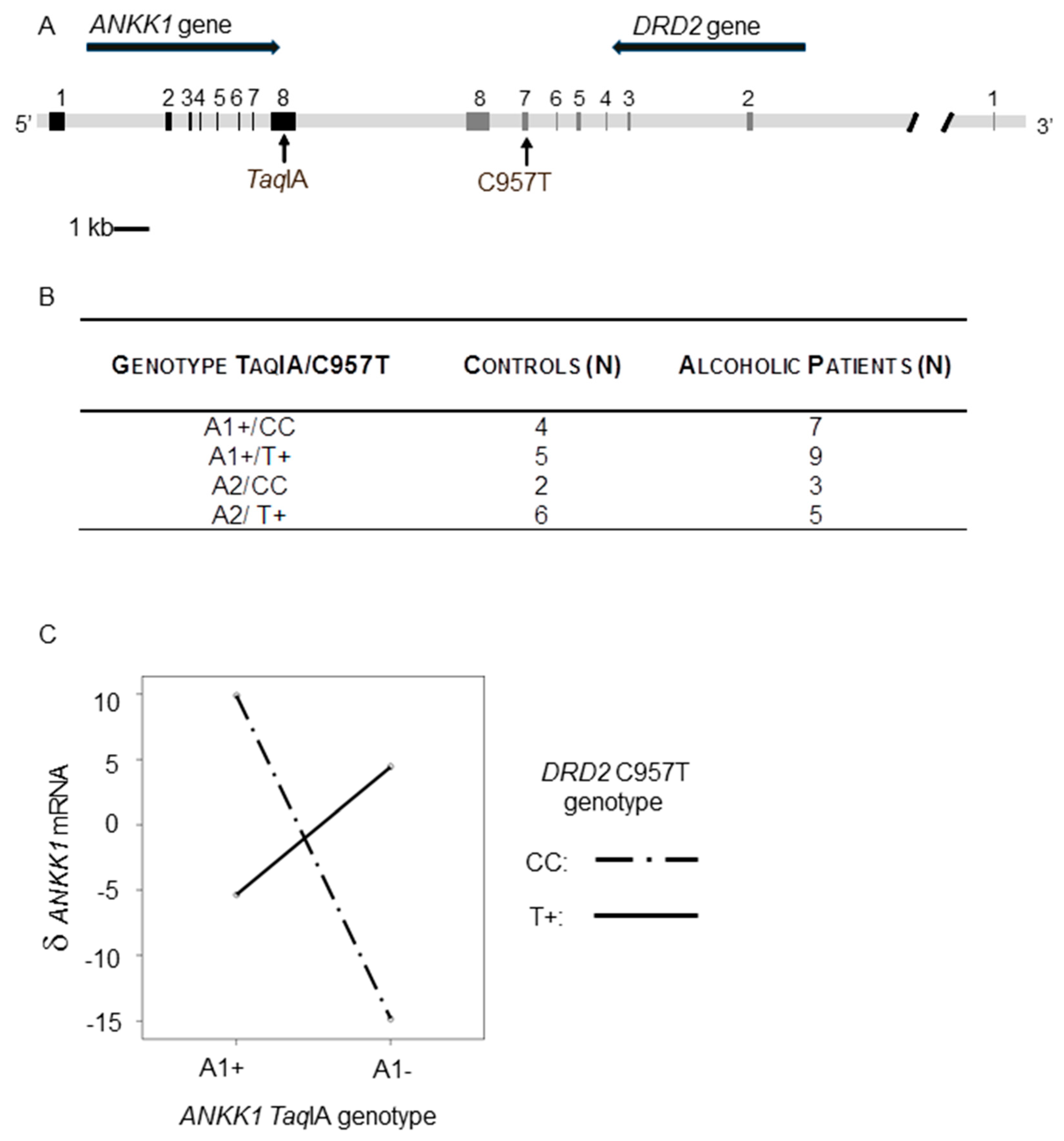 Ijms 21 02516 g002 Ijms 21 02516 g002