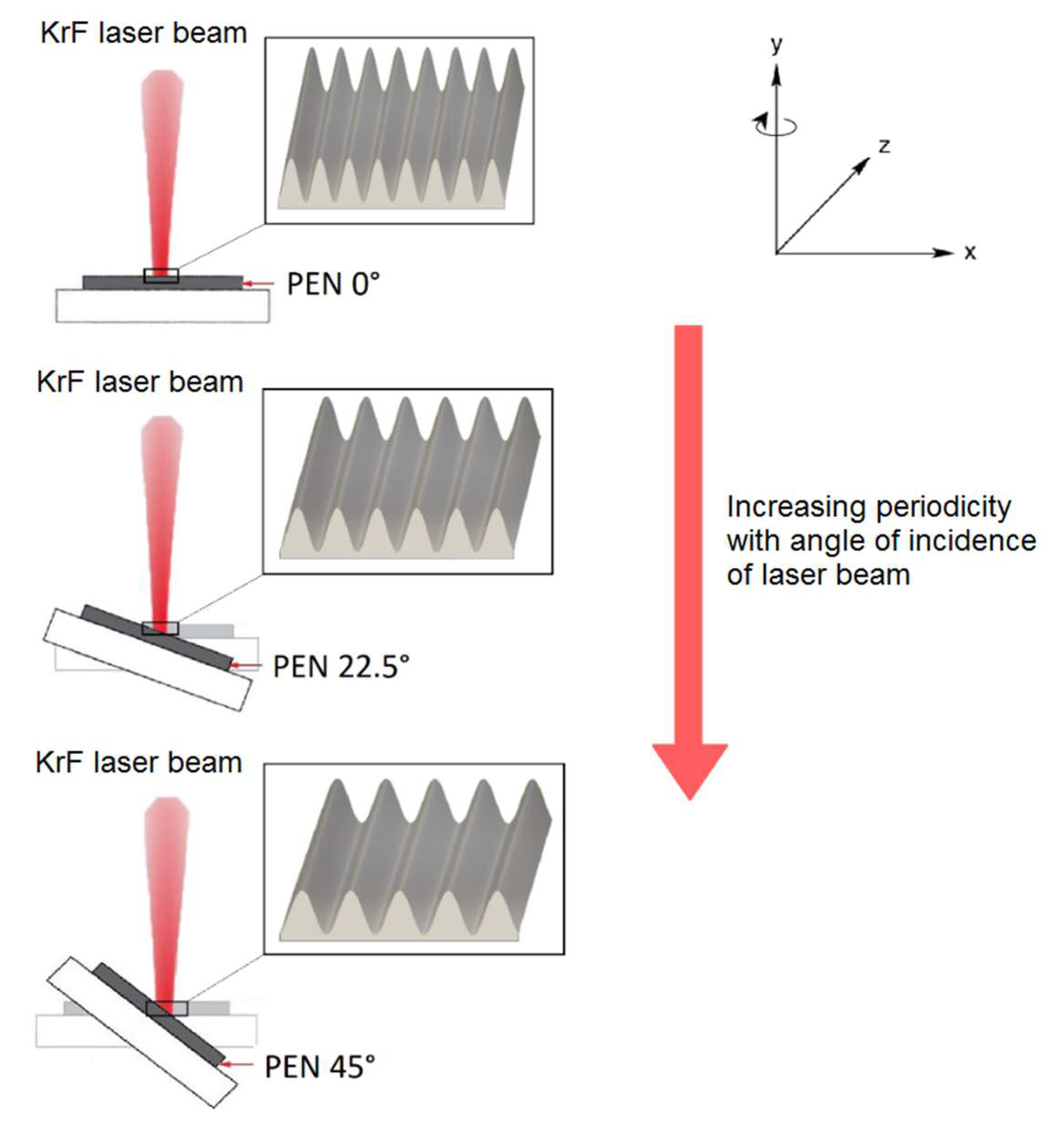 Ijms 21 02521 g002 Ijms 21 02521 g002