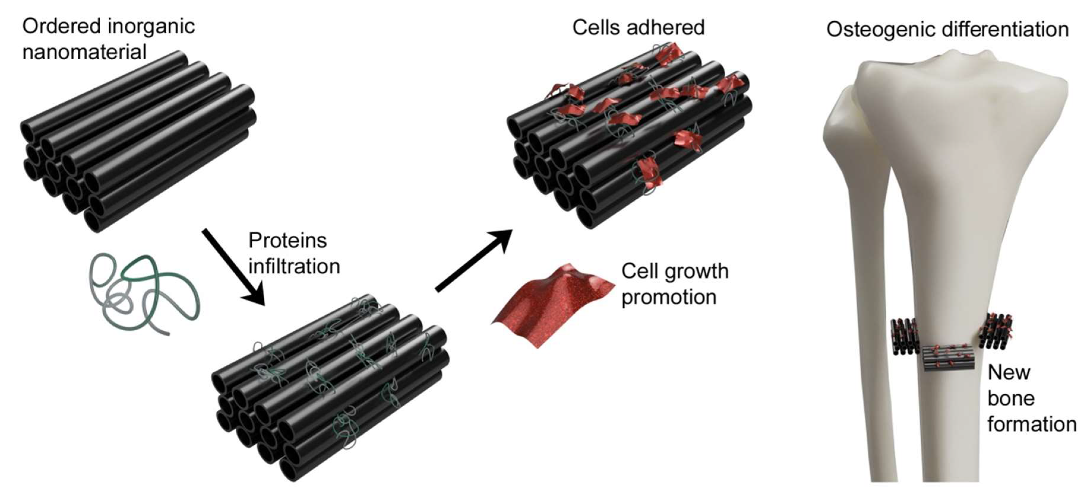 Ijms 21 02521 g005 Ijms 21 02521 g005