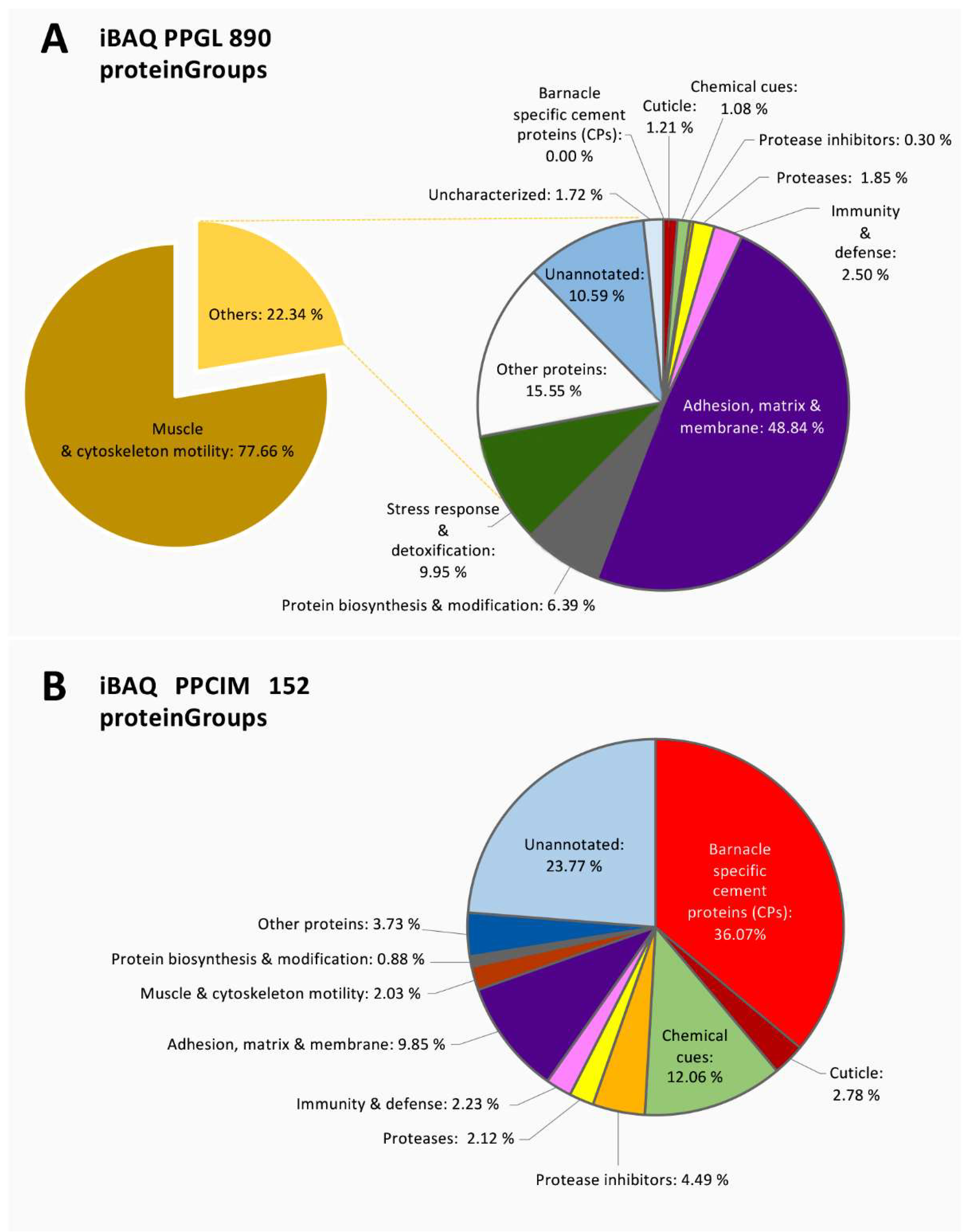 Ijms 21 02524 g003 Ijms 21 02524 g003