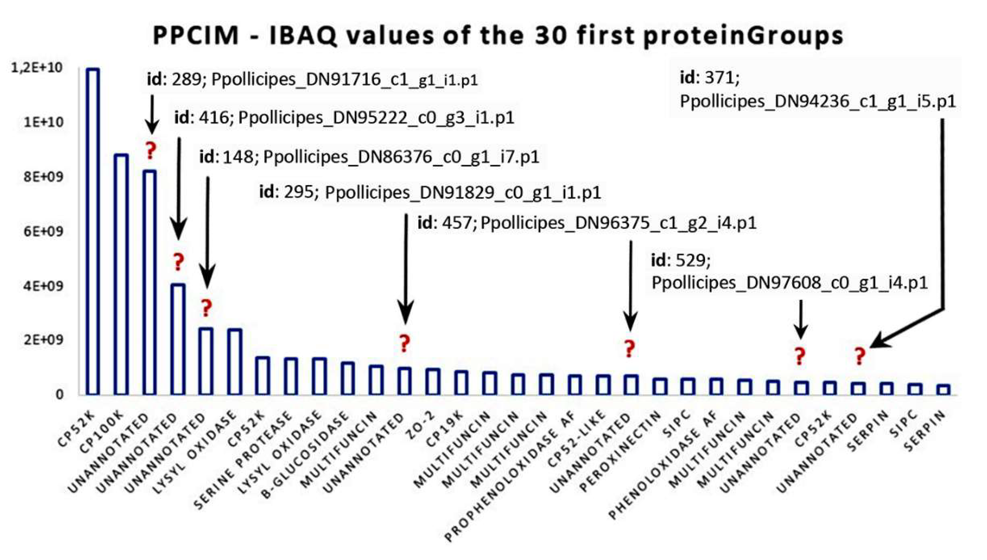 Ijms 21 02524 g005 Ijms 21 02524 g005