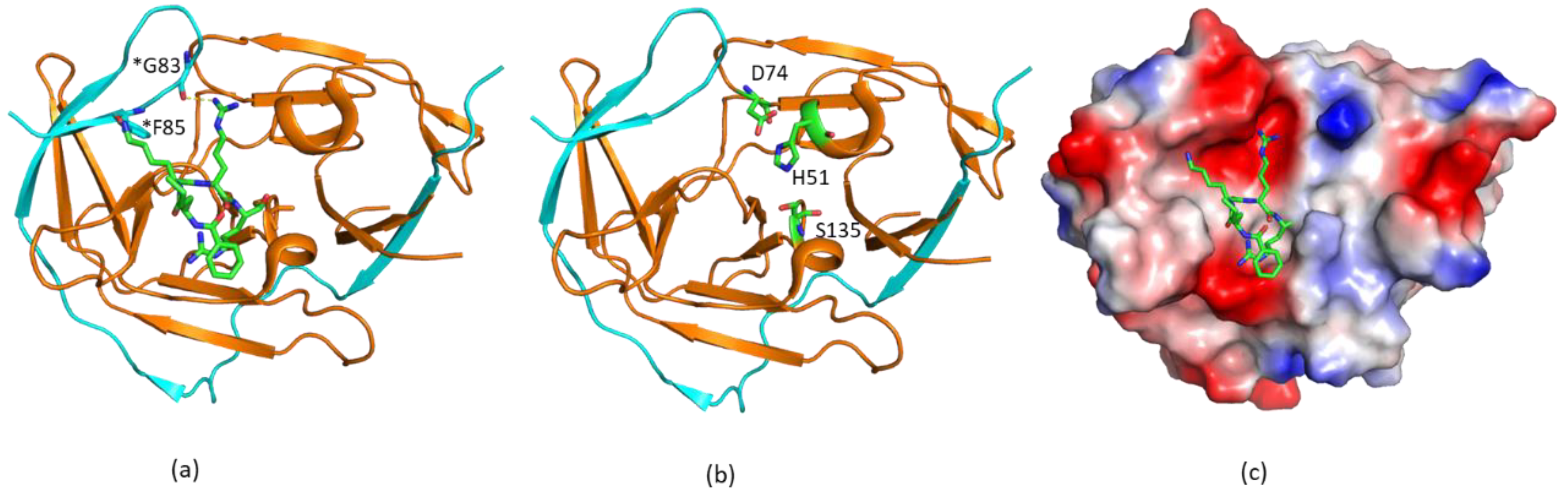 Ijms 21 02527 g001 Ijms 21 02527 g001