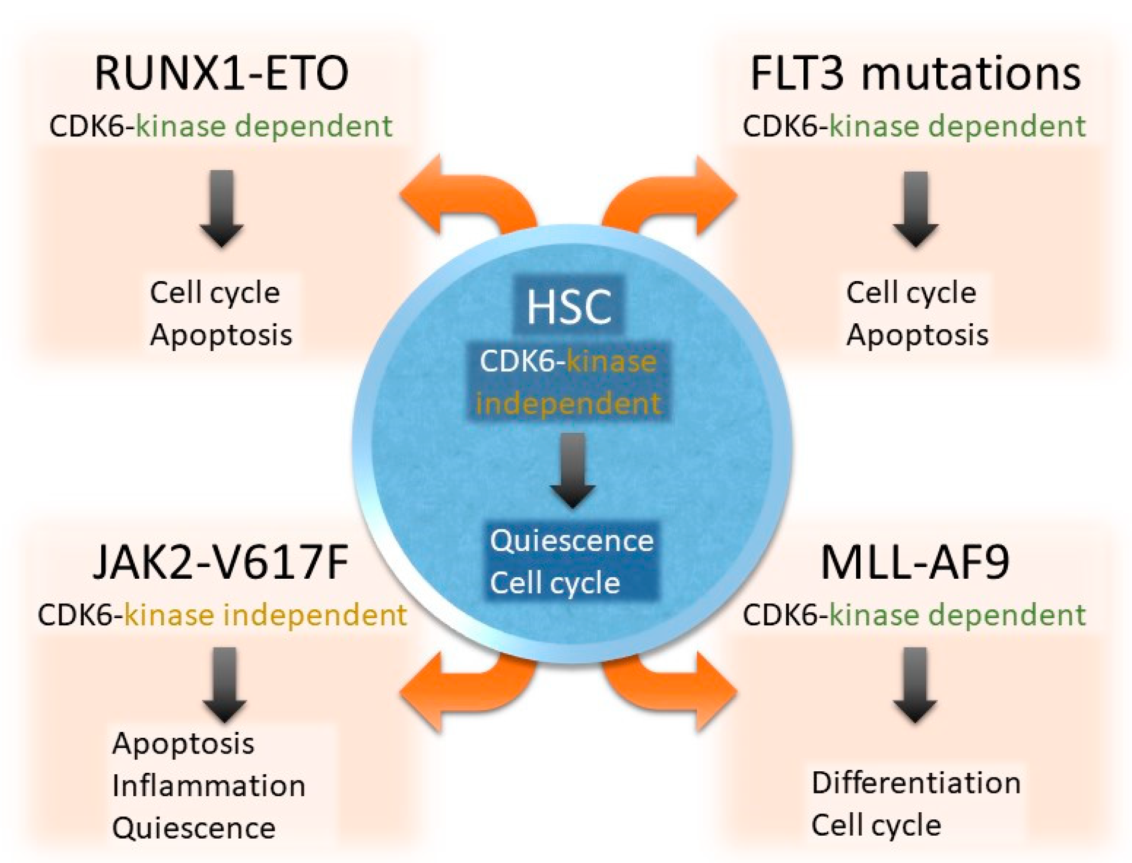Ijms 21 02528 g002 Ijms 21 02528 g002