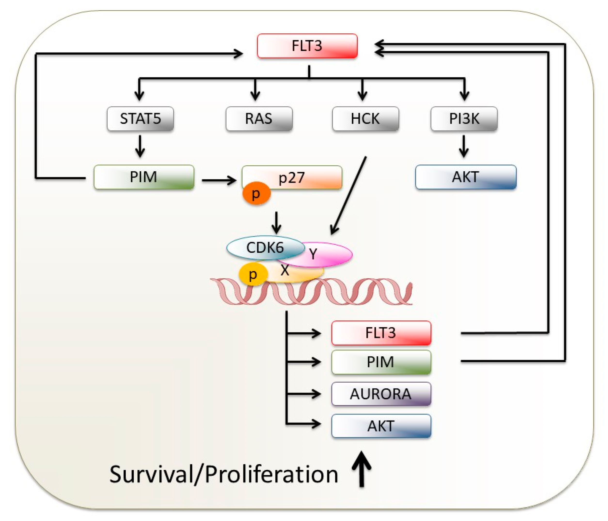 Ijms 21 02528 g004 Ijms 21 02528 g004