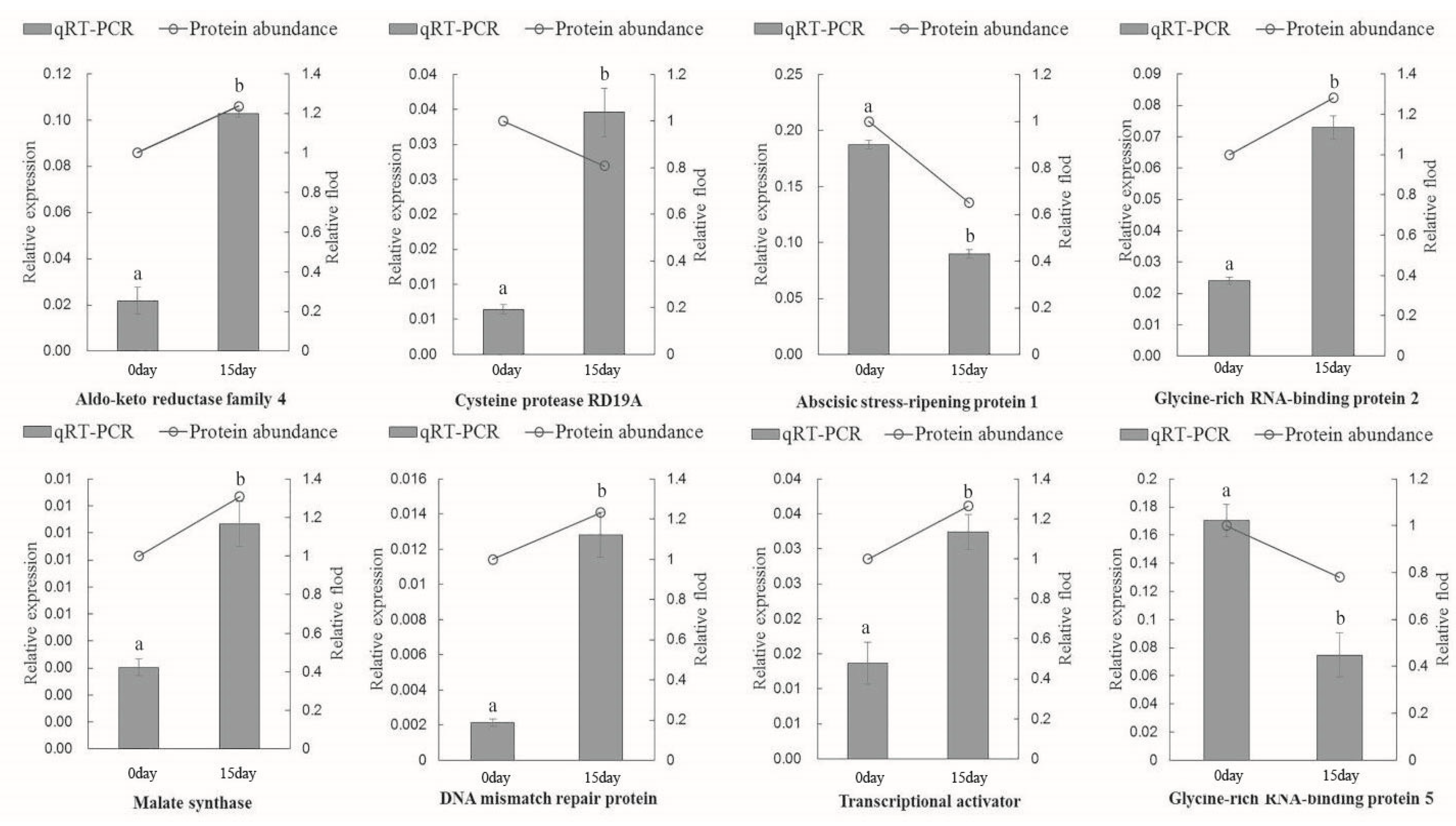 Ijms 21 02537 g005 Ijms 21 02537 g005
