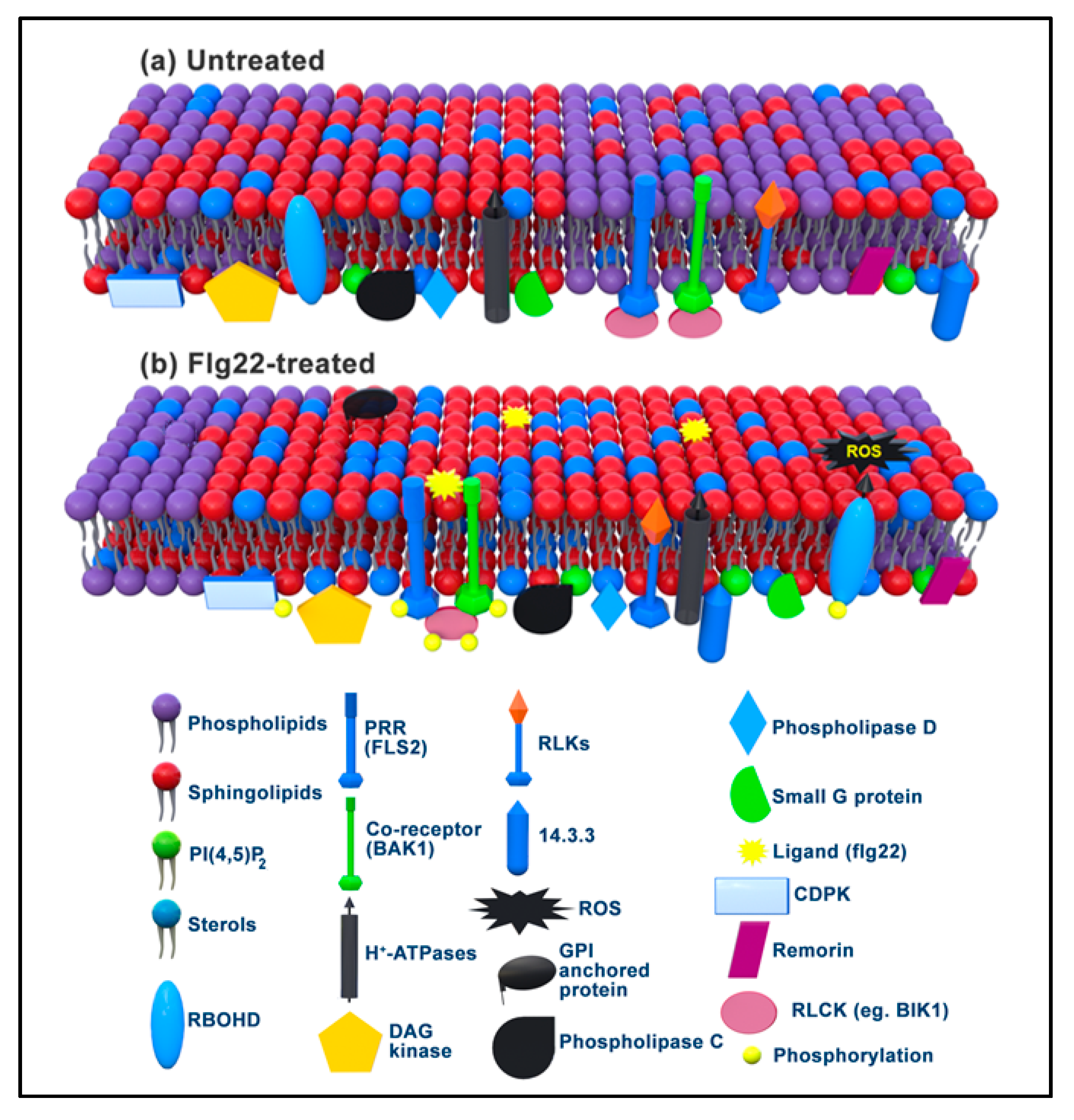 Ijms 21 02540 g002 Ijms 21 02540 g002