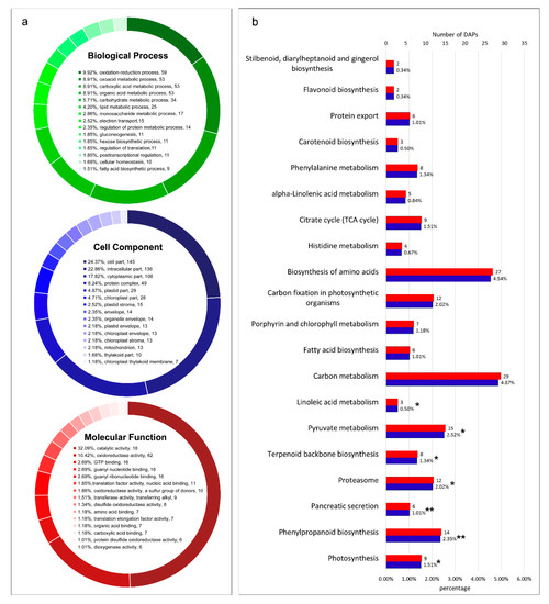 iTRAQ-Based Proteomic Analysis of Watermelon Fruits in Response to