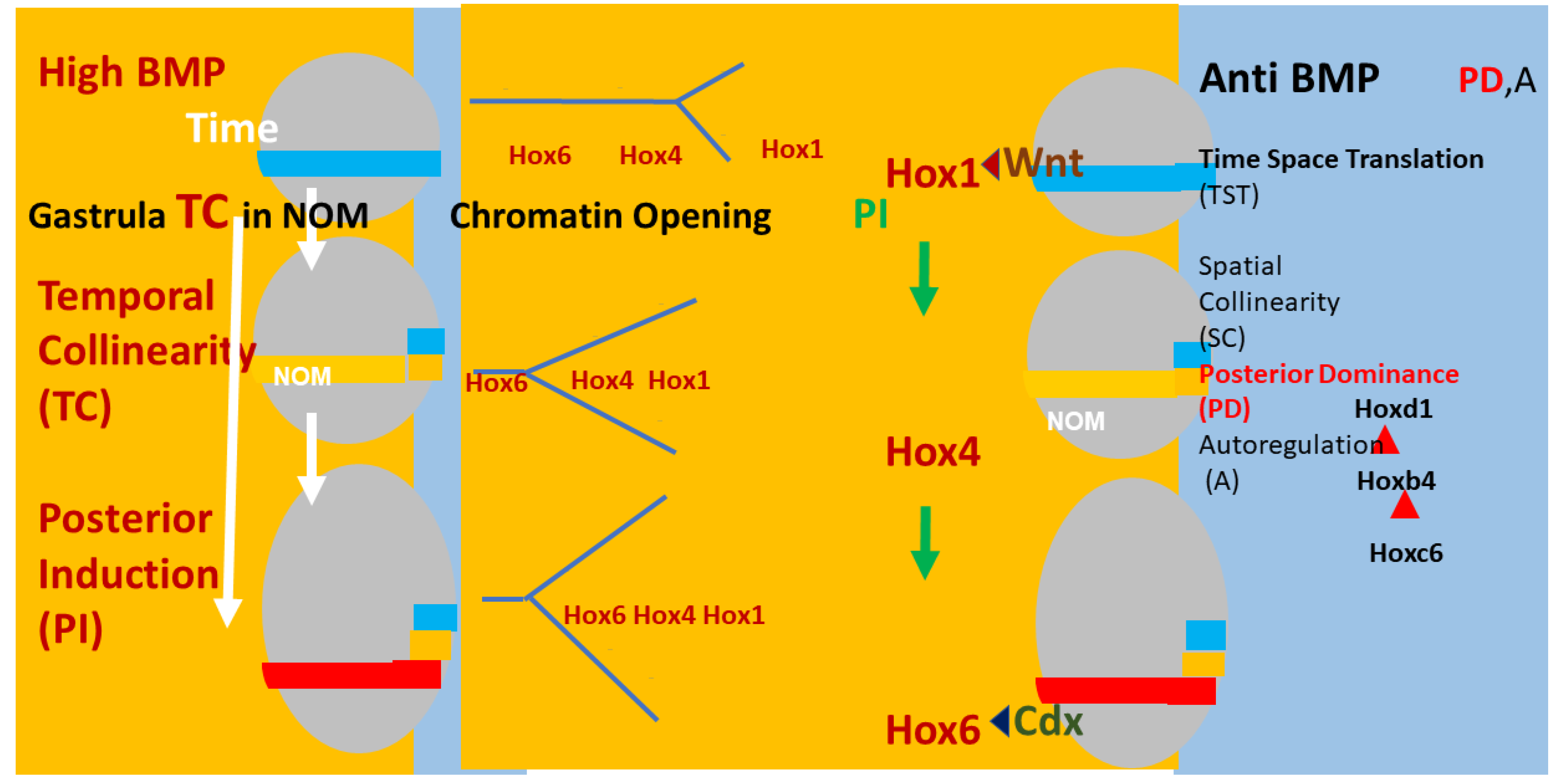 Ijms 21 02552 g002 Ijms 21 02552 g002