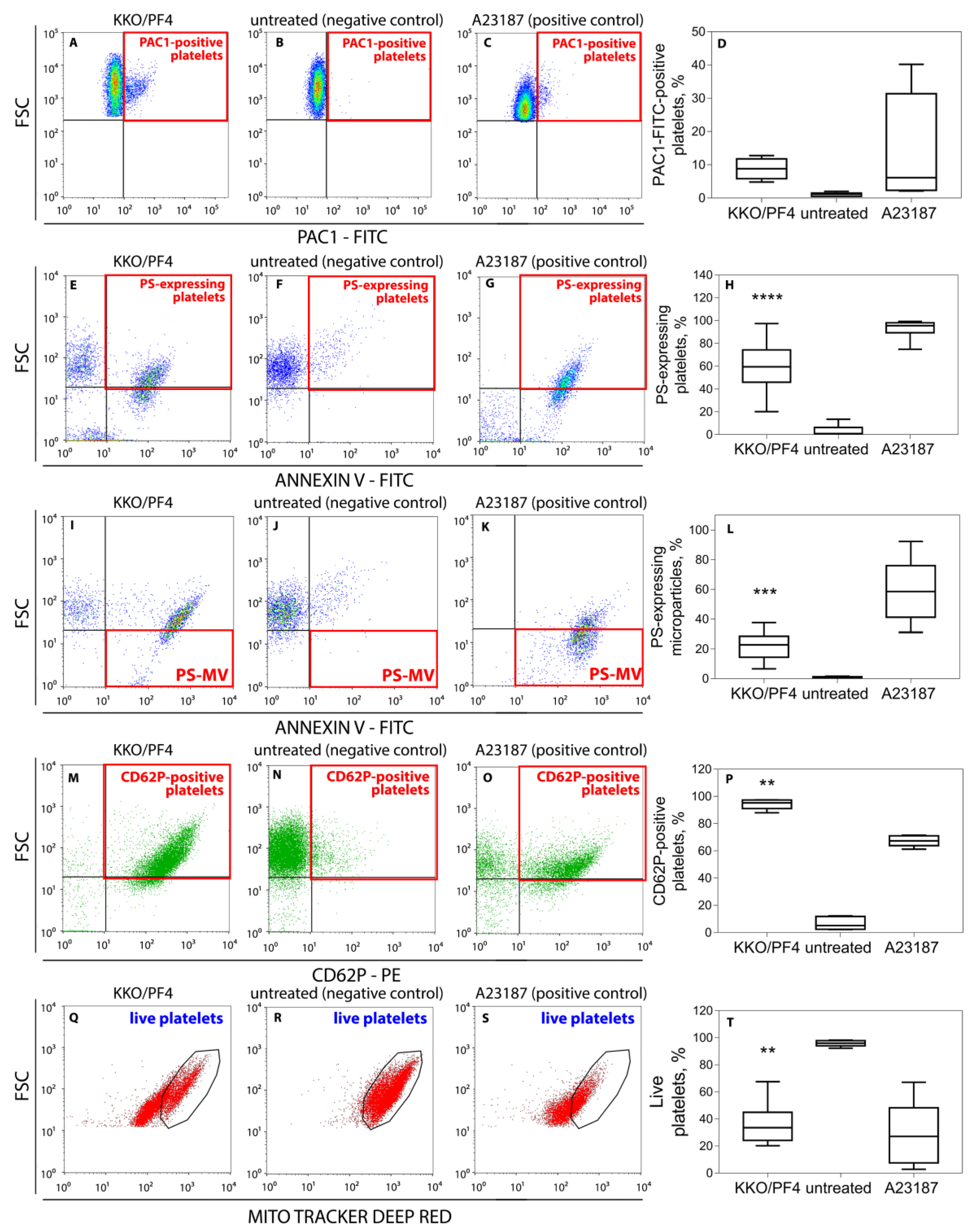 Ijms 21 02556 g001 Ijms 21 02556 g001