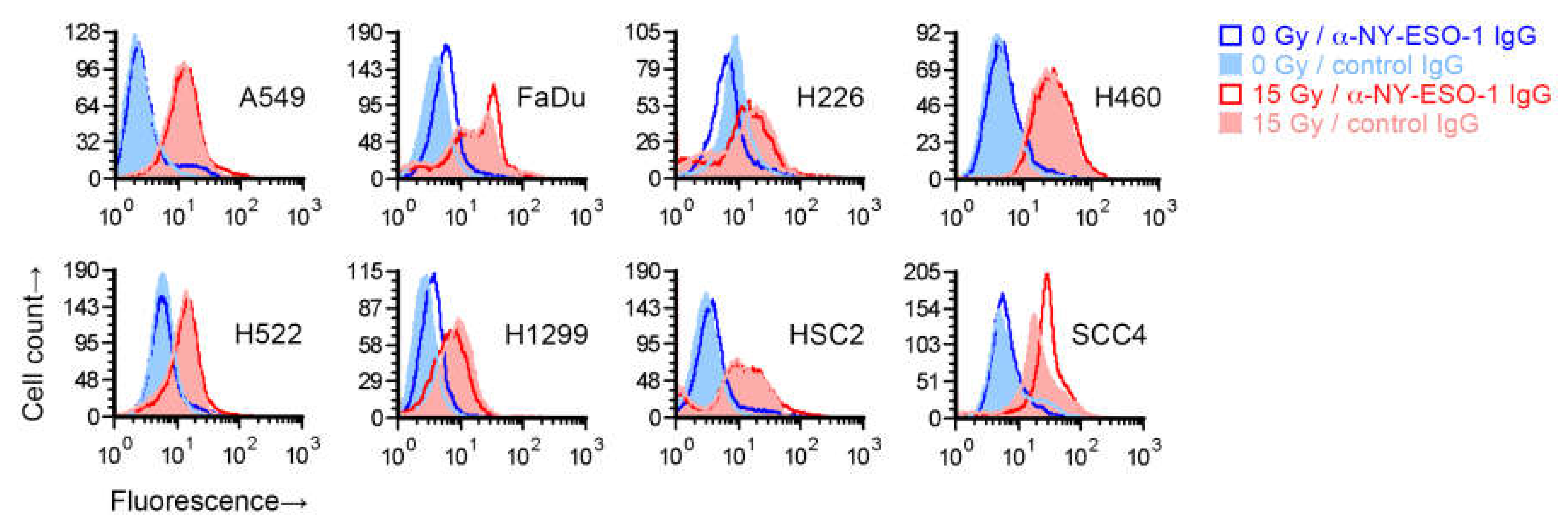 Ijms 21 02573 g002 Ijms 21 02573 g002