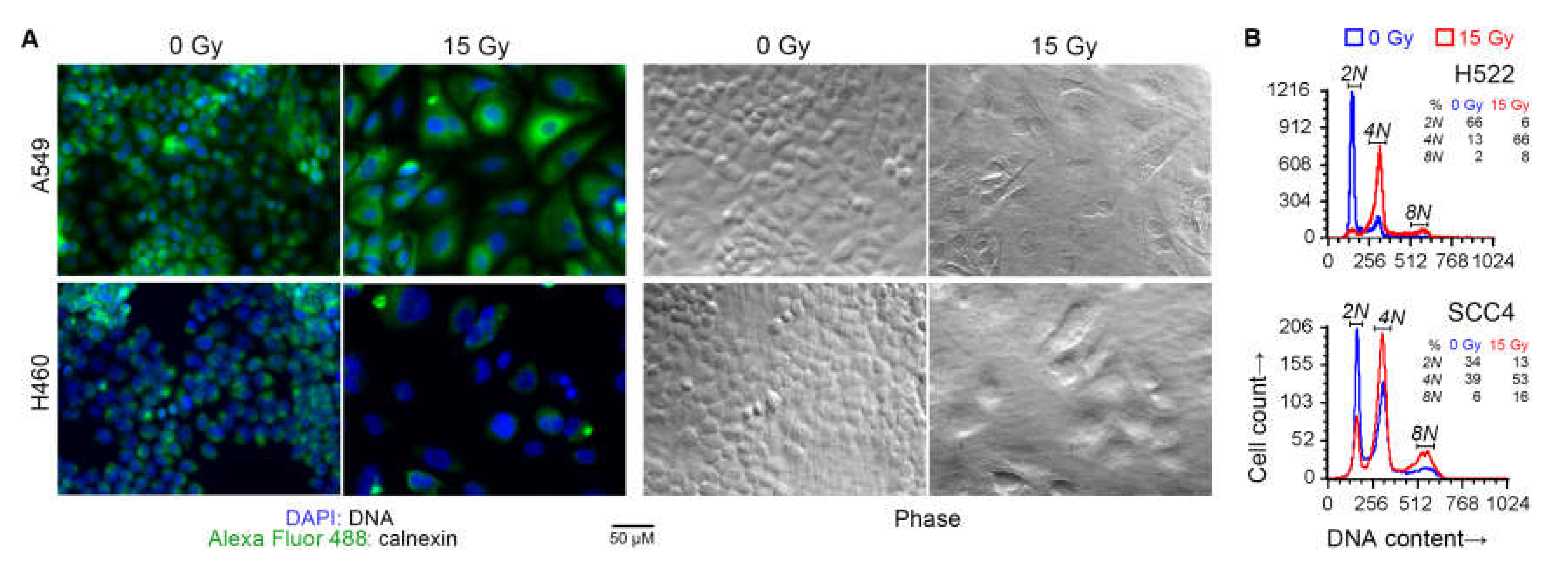 Ijms 21 02573 g004 Ijms 21 02573 g004