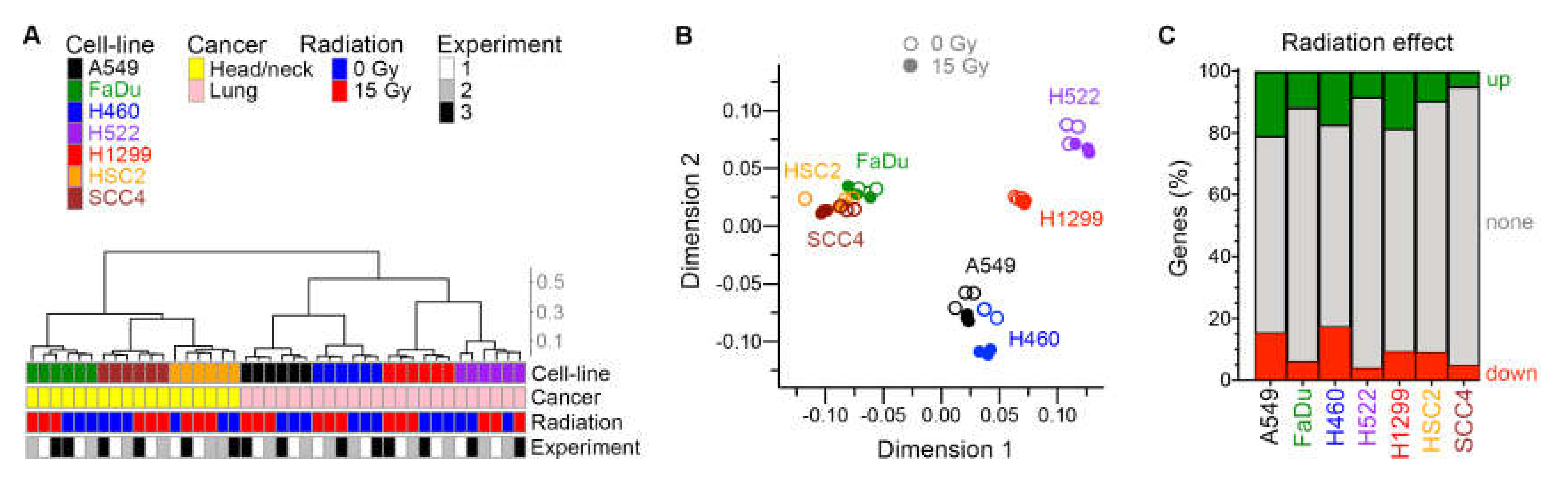 Ijms 21 02573 g005 Ijms 21 02573 g005