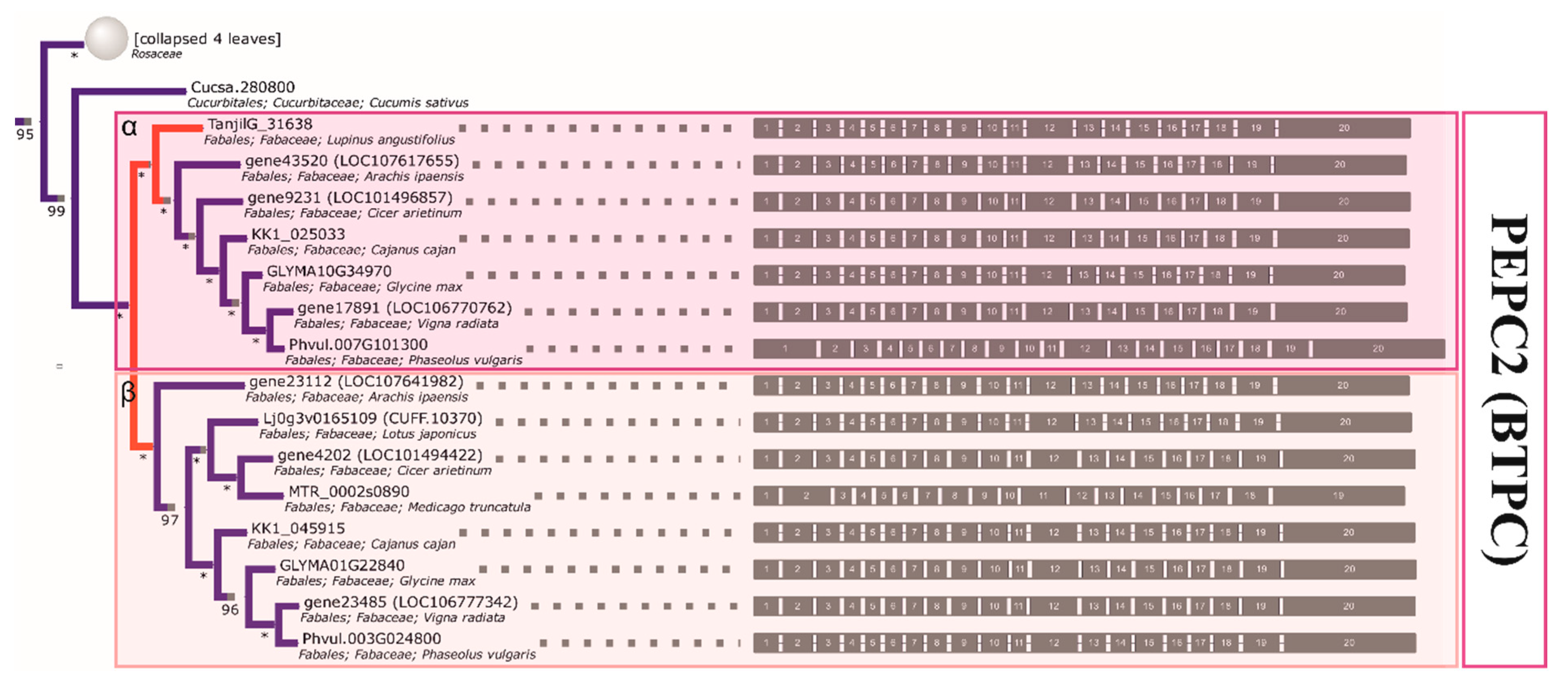 Ijms 21 02580 g003 Ijms 21 02580 g003