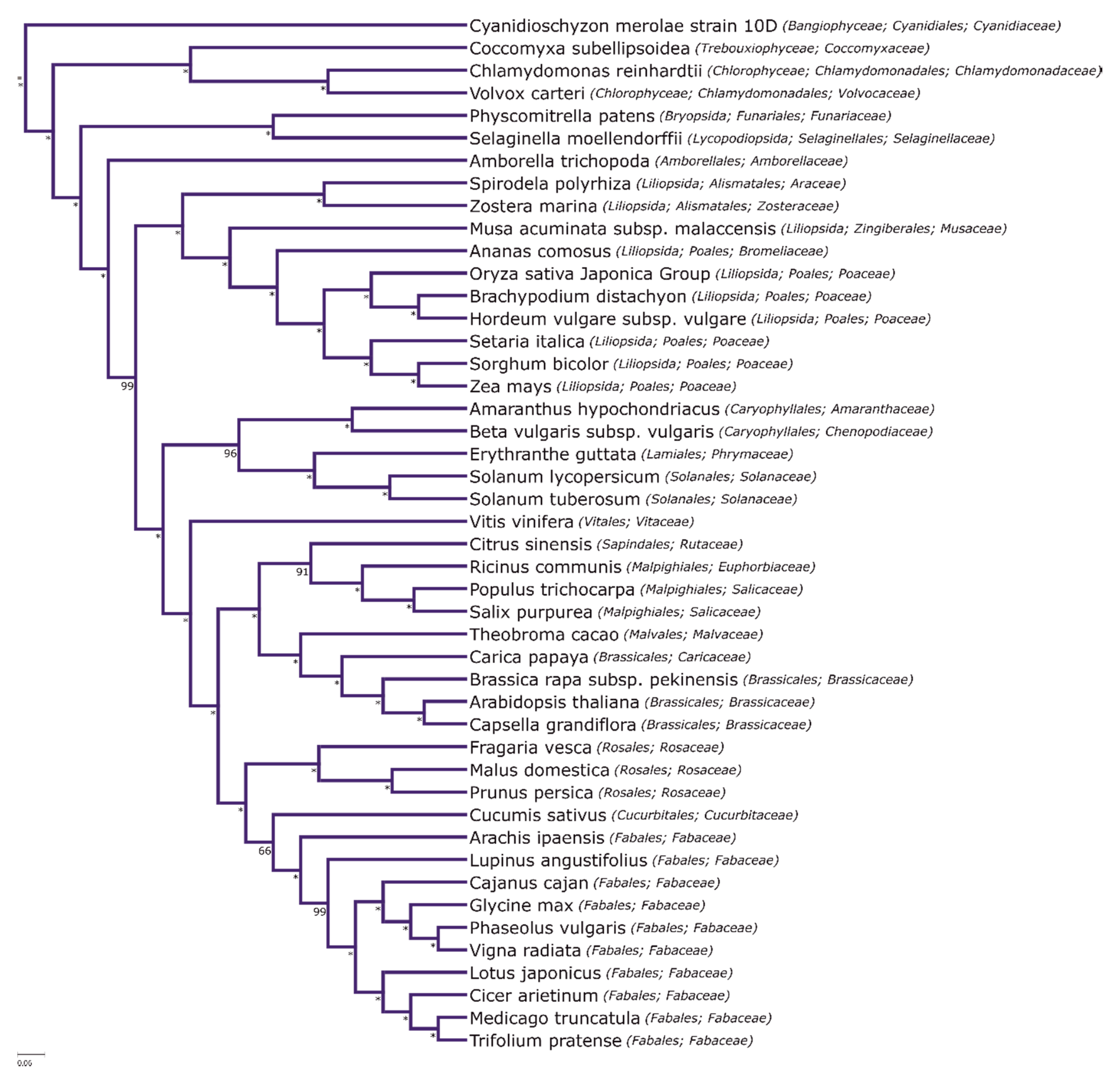 Ijms 21 02580 g005 Ijms 21 02580 g005