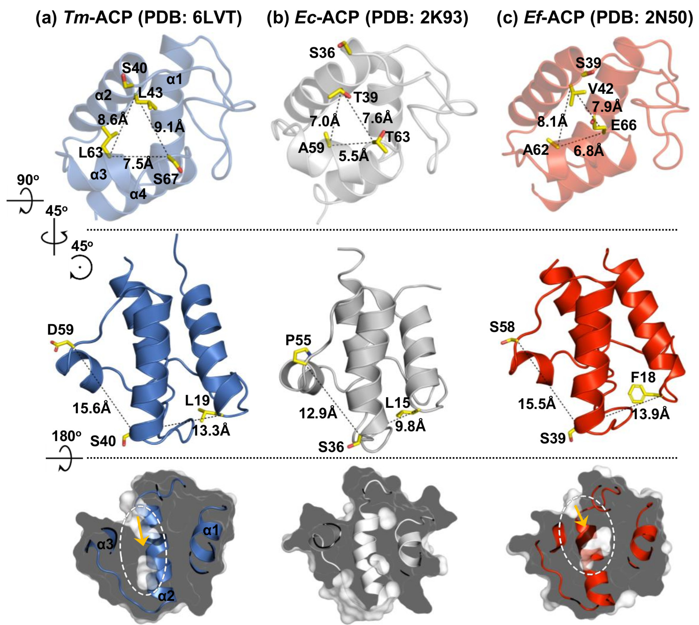 Ijms 21 02600 g006 Ijms 21 02600 g006