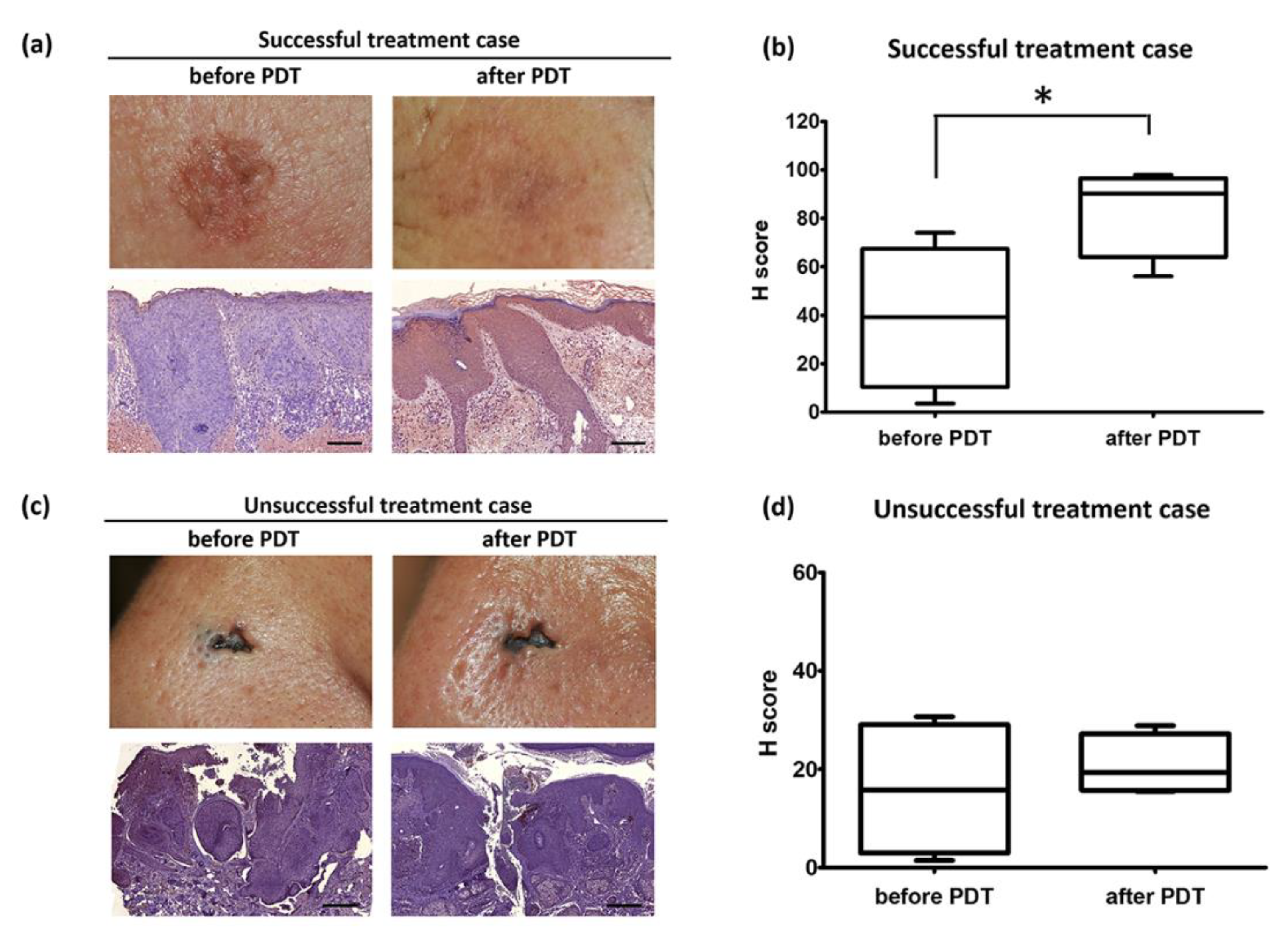 Ijms 21 02603 g001 Ijms 21 02603 g001