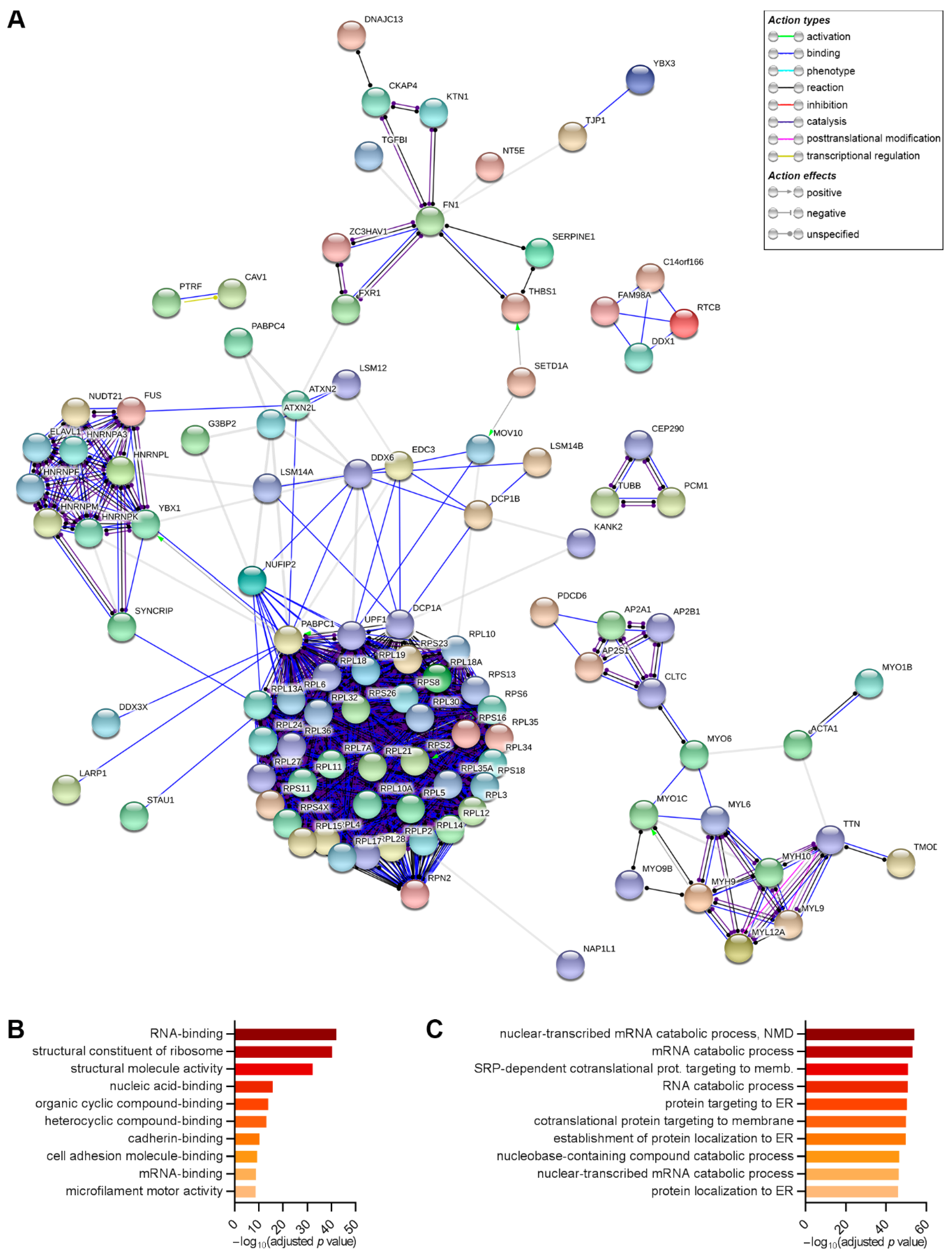 Ijms 21 02607 g006 Ijms 21 02607 g006