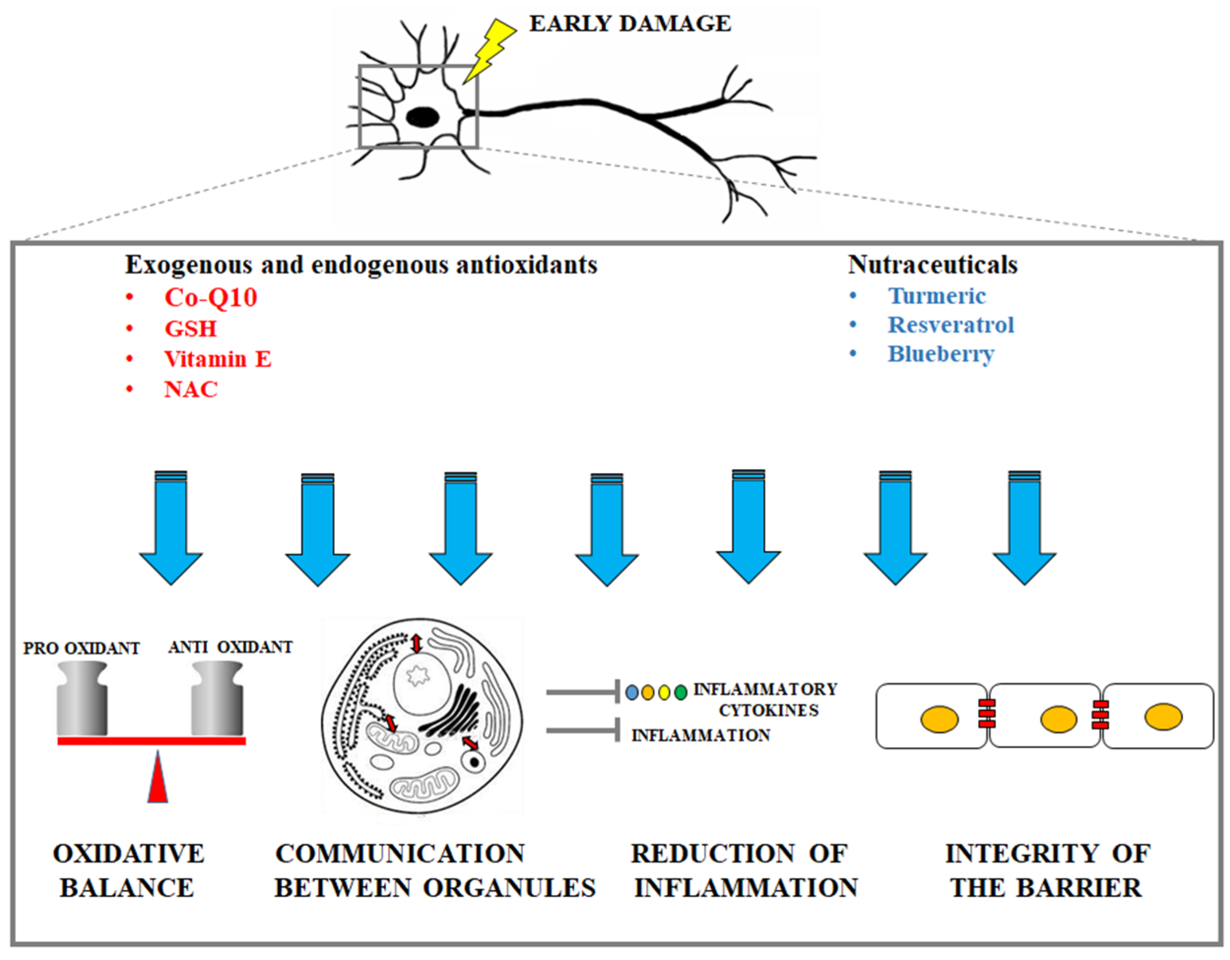 Ijms 21 02618 g002 Ijms 21 02618 g002
