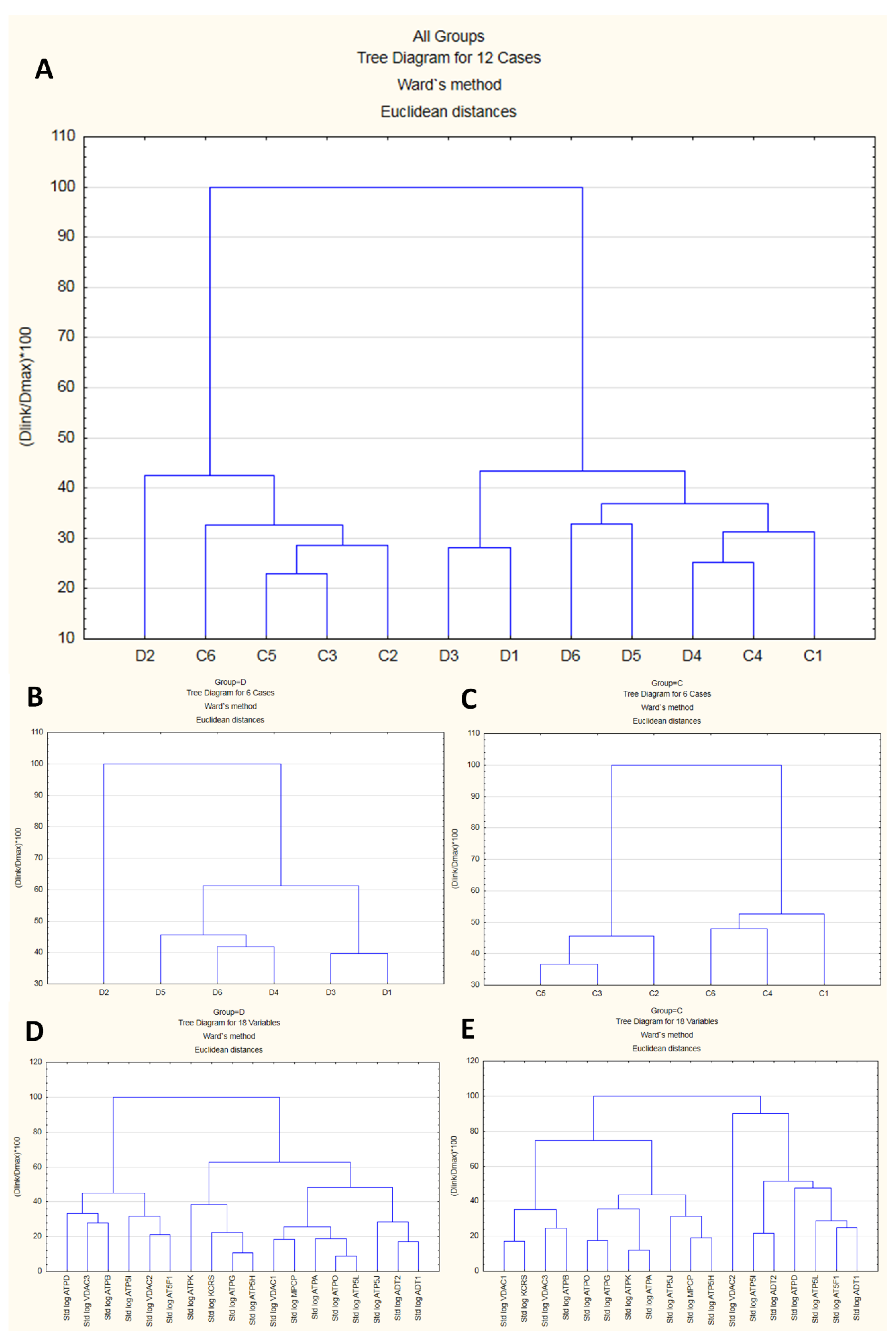 Ijms 21 02622 g005 Ijms 21 02622 g005
