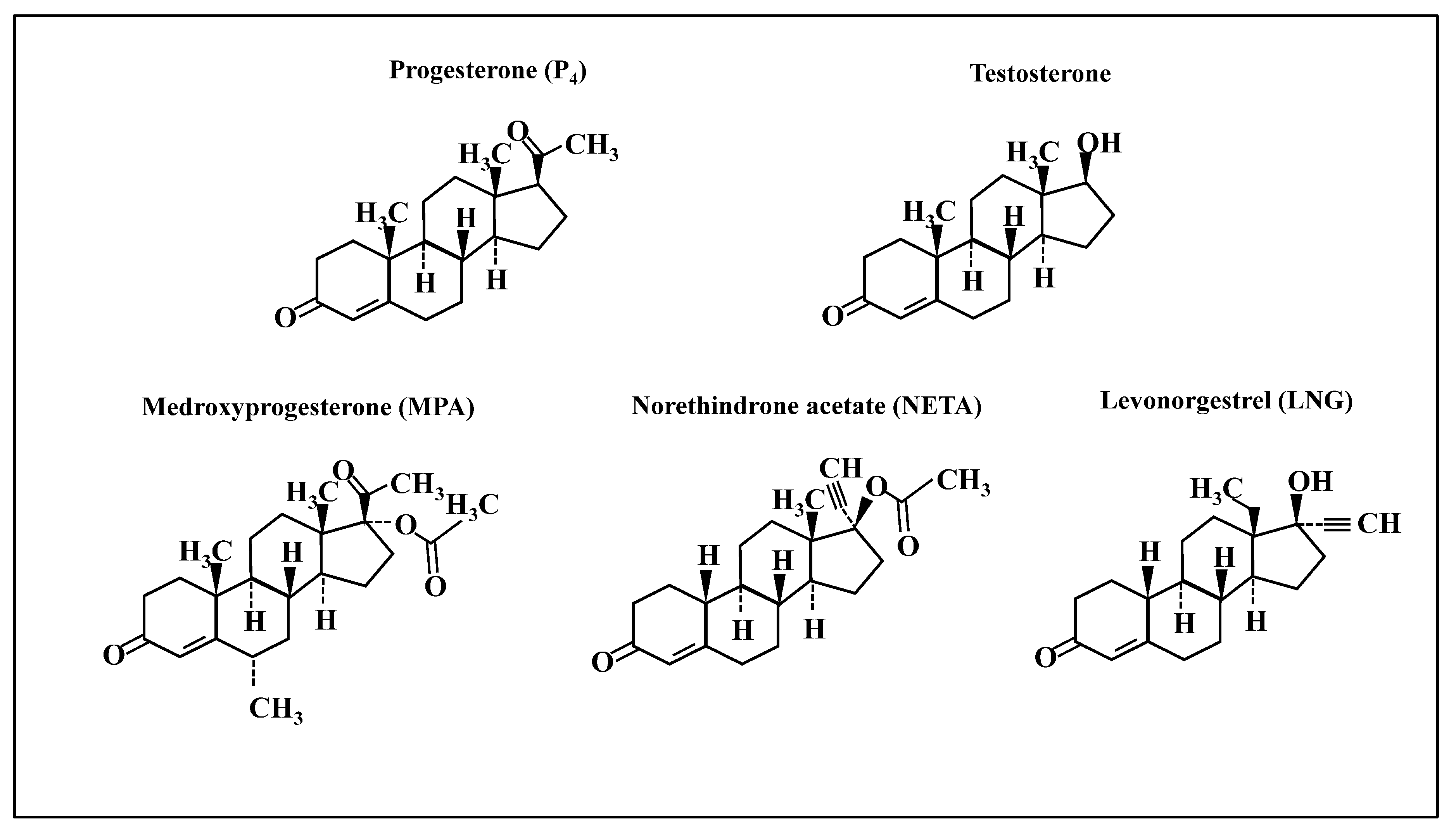 Ijms 21 02625 g001 Ijms 21 02625 g001