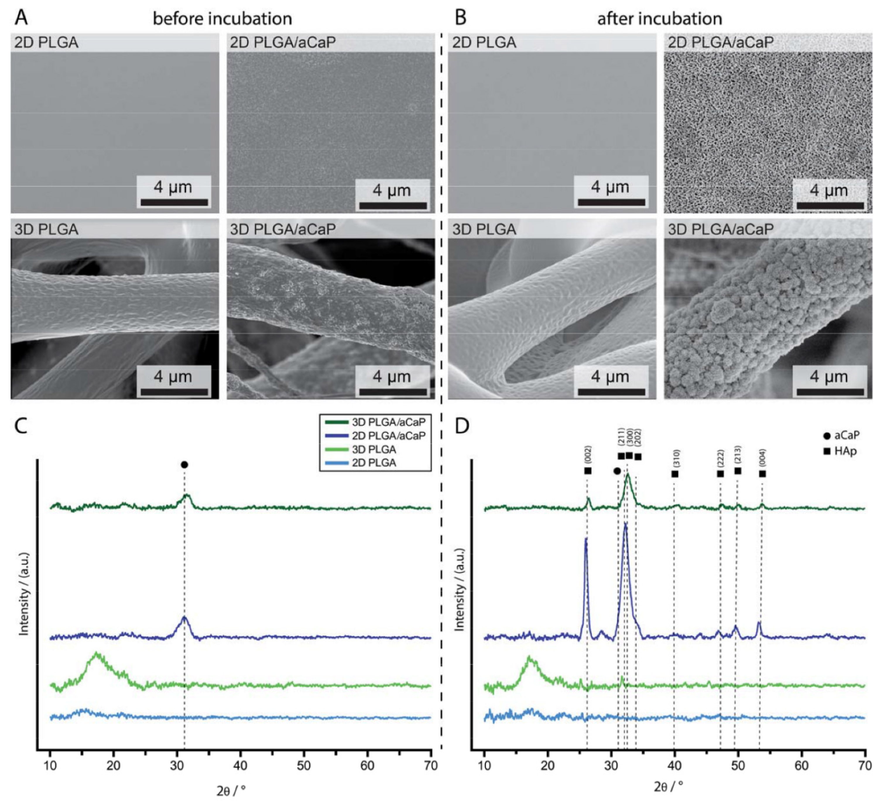 Ijms 21 02627 g001 Ijms 21 02627 g001