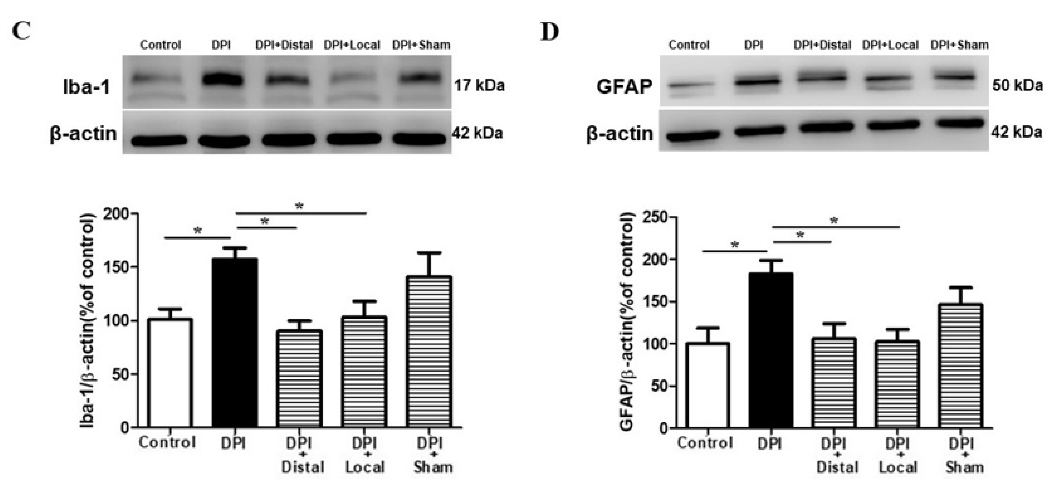 Ijms 21 02628 g004b Ijms 21 02628 g004b