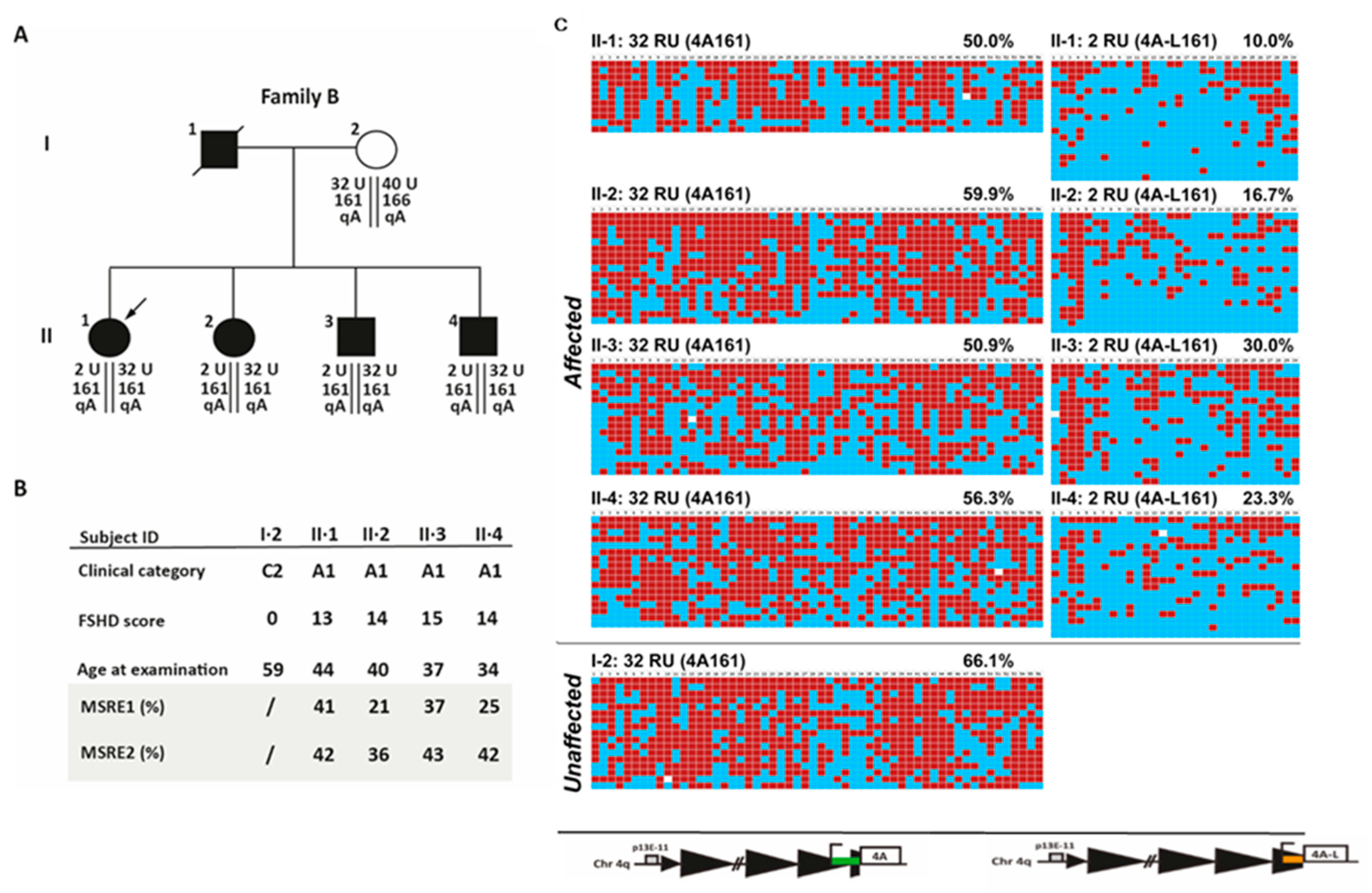 Ijms 21 02635 g007 Ijms 21 02635 g007