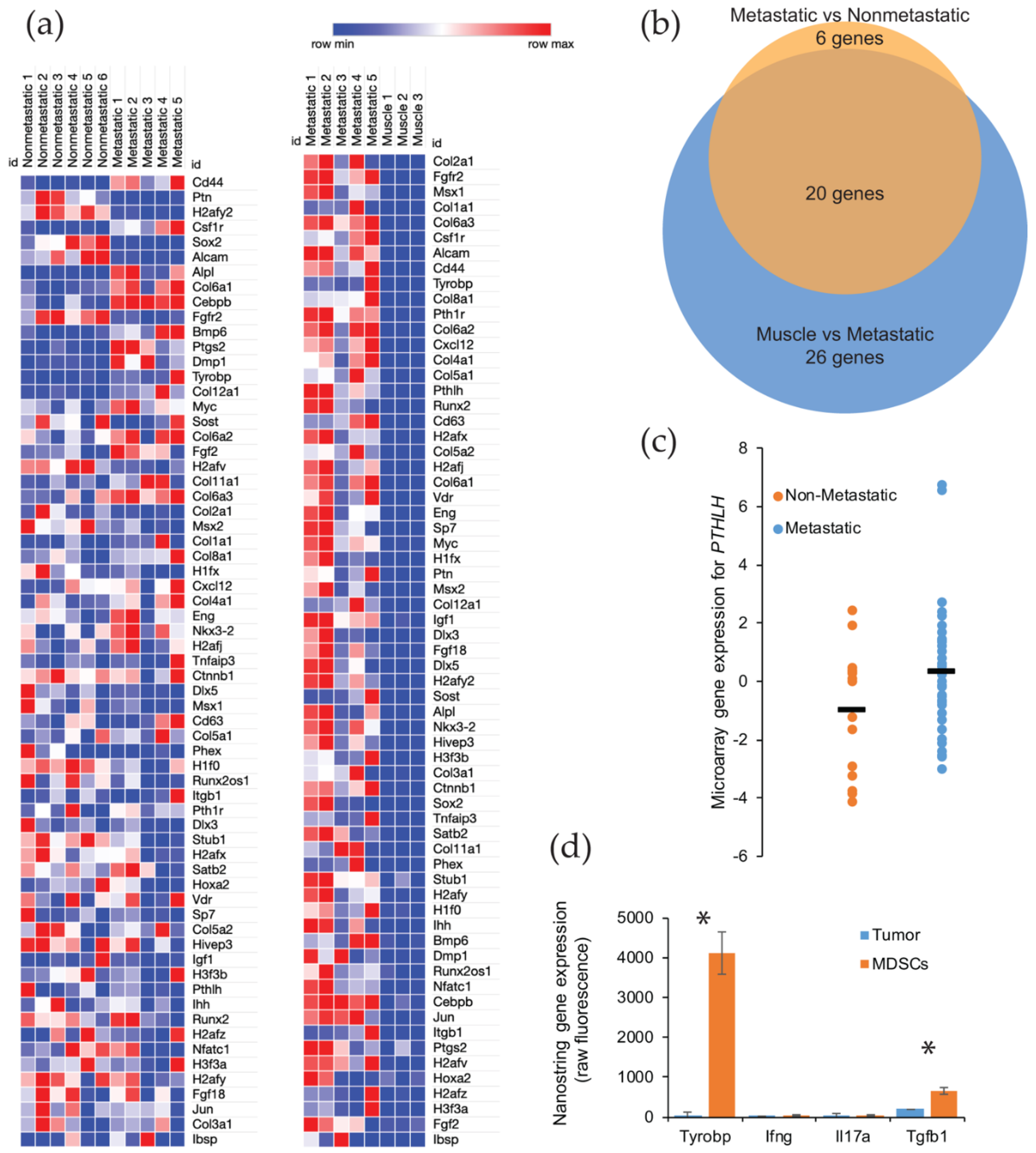 Ijms 21 02636 g004 Ijms 21 02636 g004