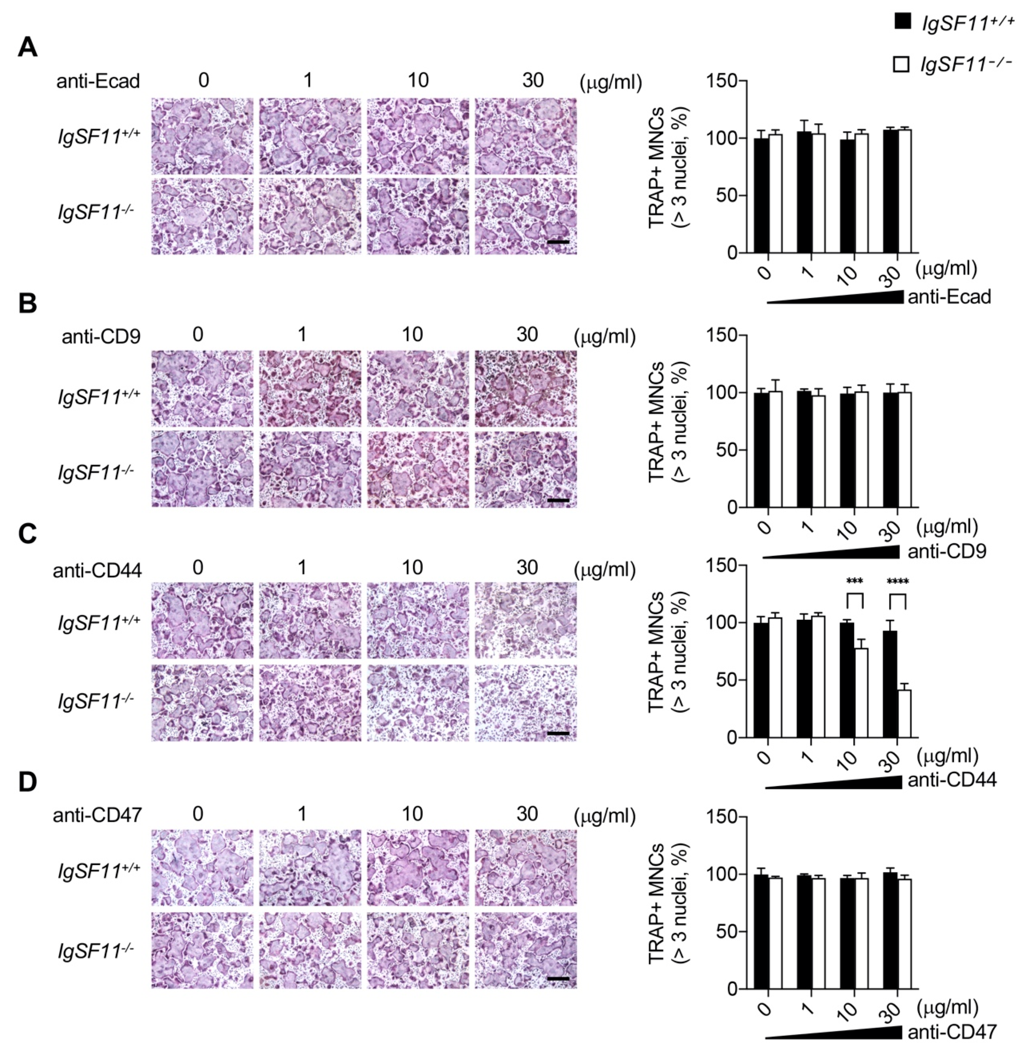 Ijms 21 02646 g001 Ijms 21 02646 g001