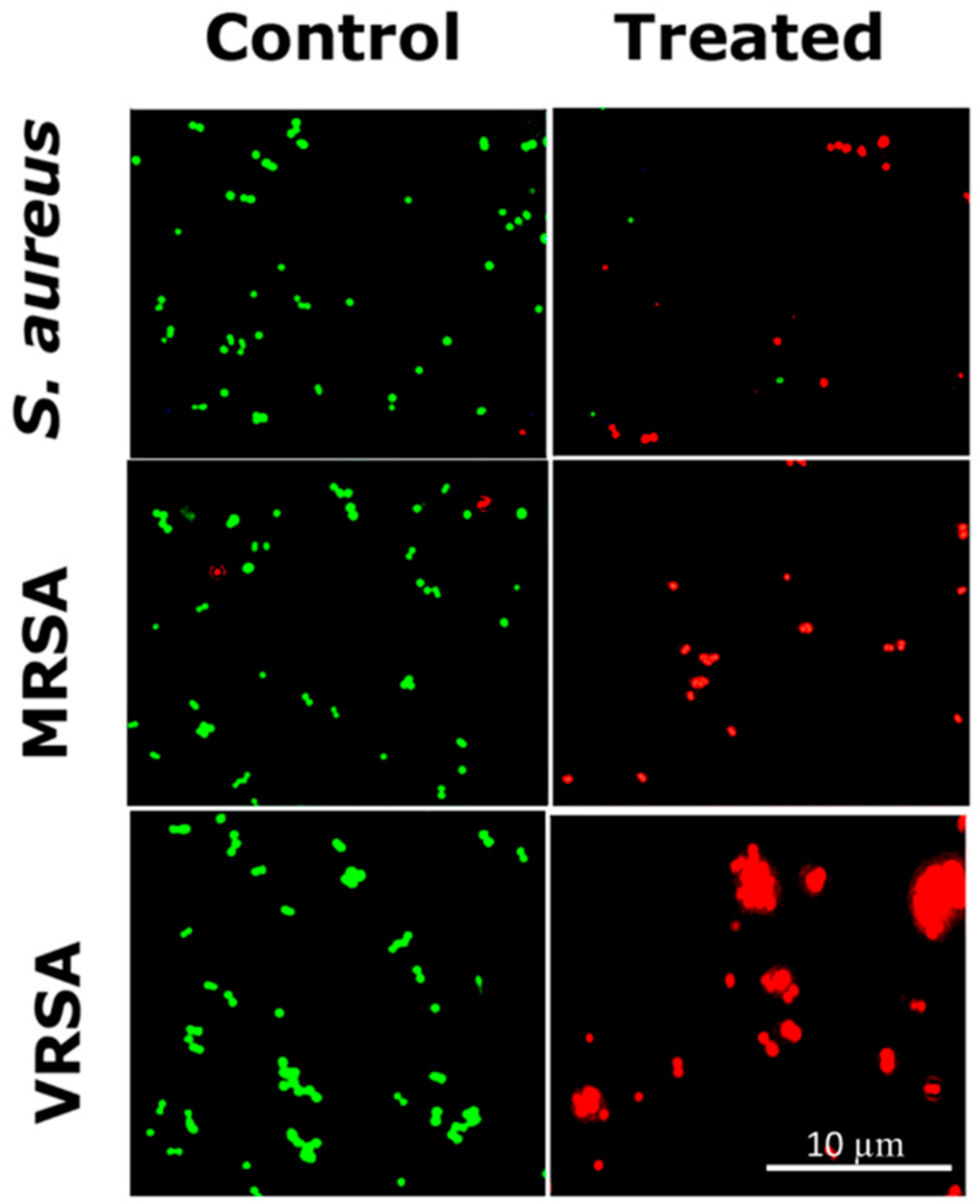 Ijms 21 02656 g008