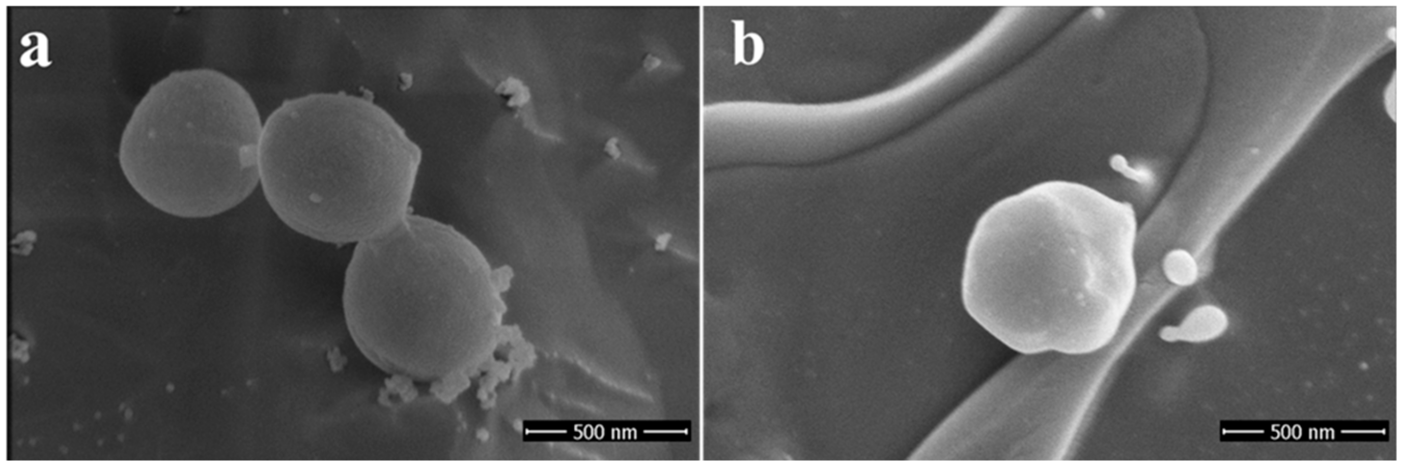 Ijms 21 02656 g009