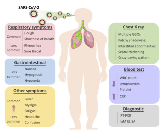 Ijms Free Full Text A Review Of Sars Cov 2 And The Ongoing Clinical Trials Html