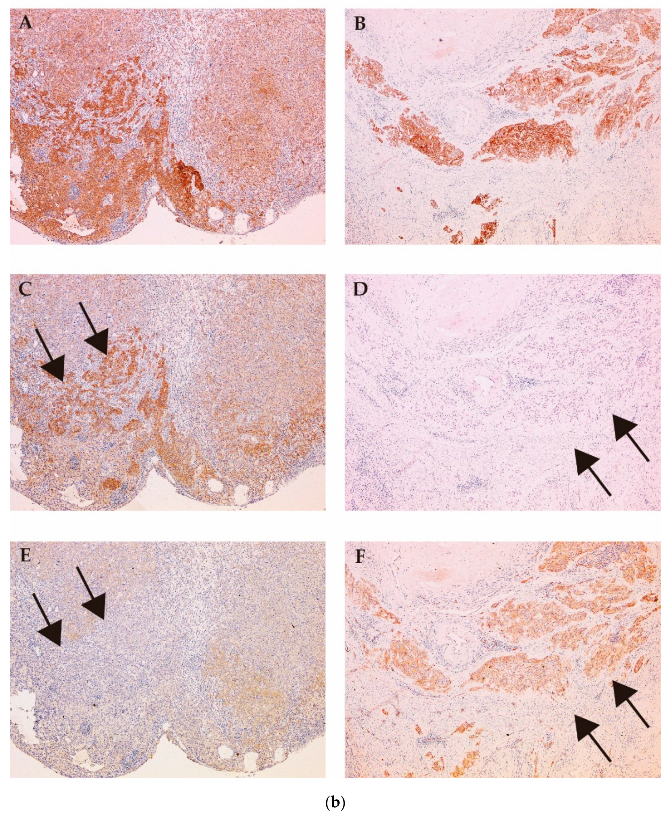 Ijms 21 02663 g006b Ijms 21 02663 g006b